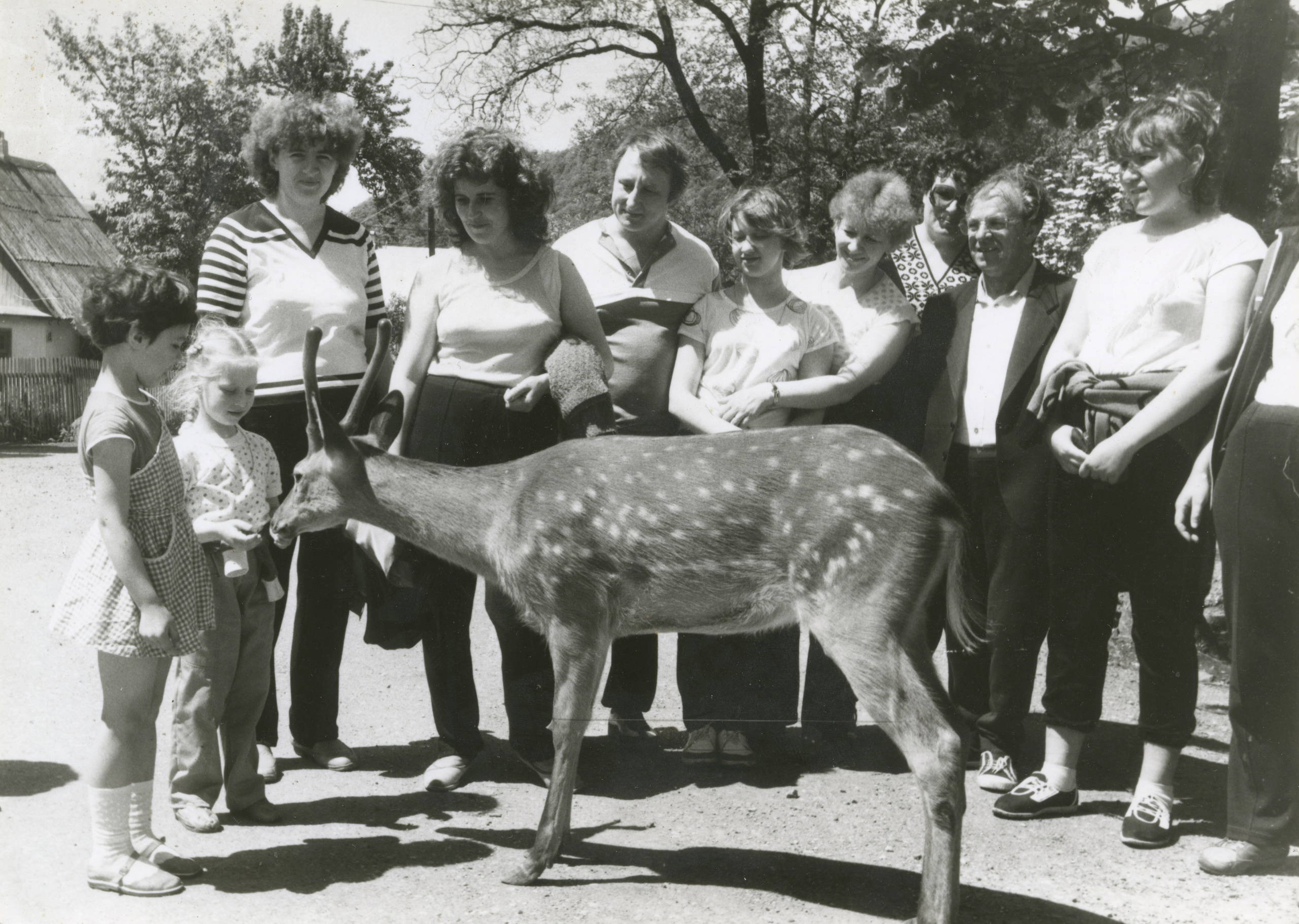 Александр Константинов. Курортное дело