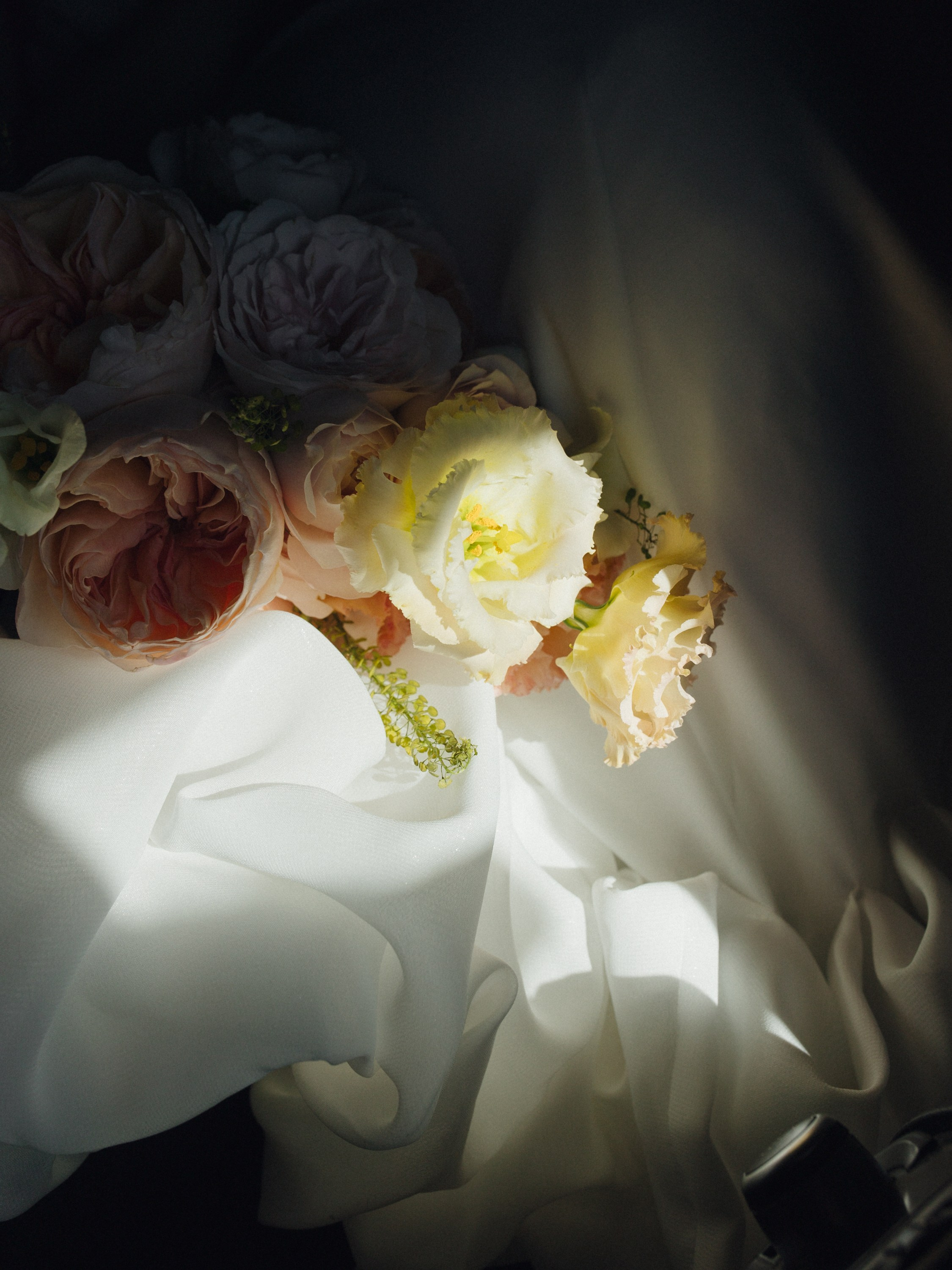 B&D. Фотограф| Санкт-Петербург| Виктория Хайдарова