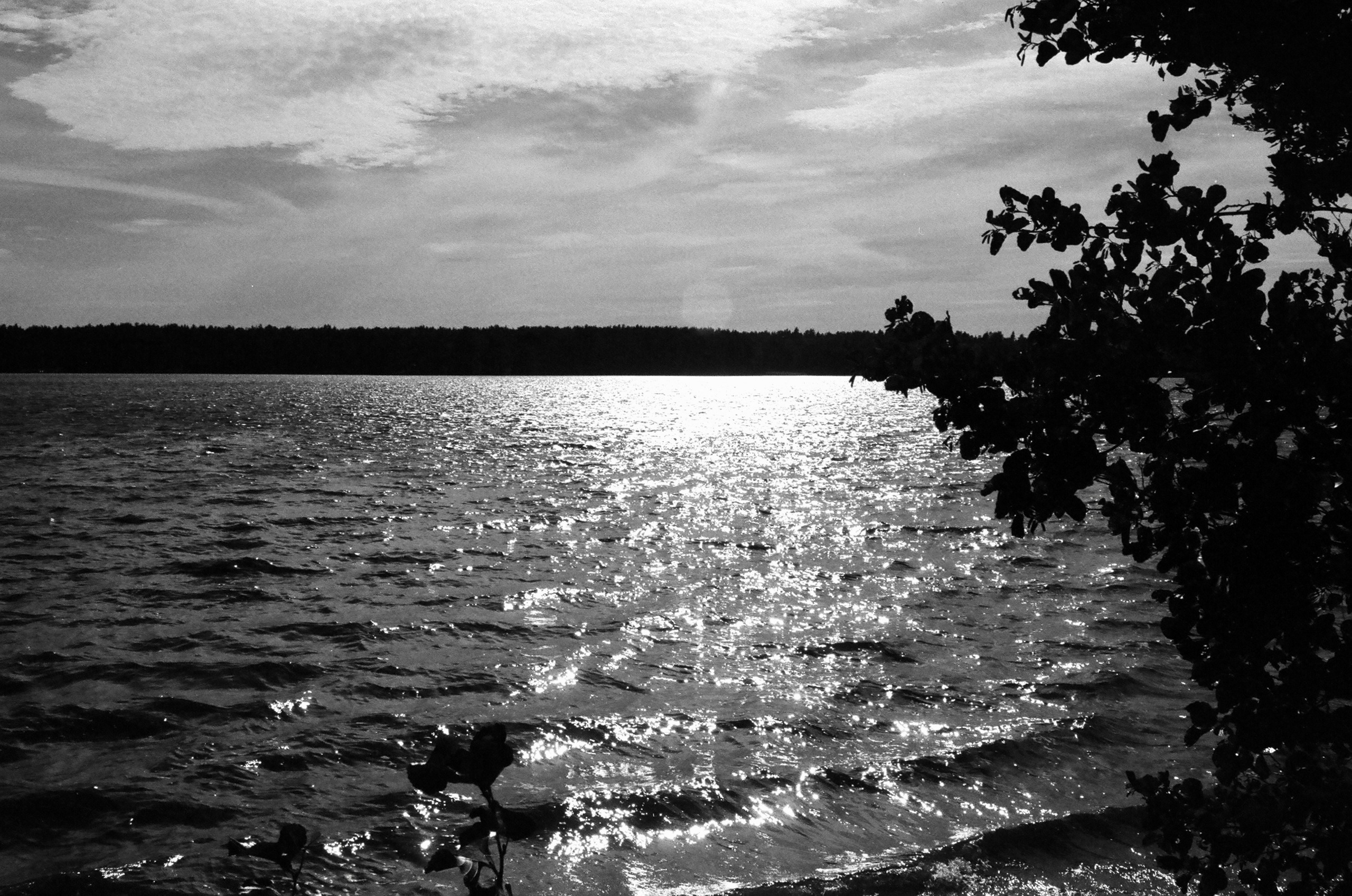 Film. Ruslan UI Dev Page