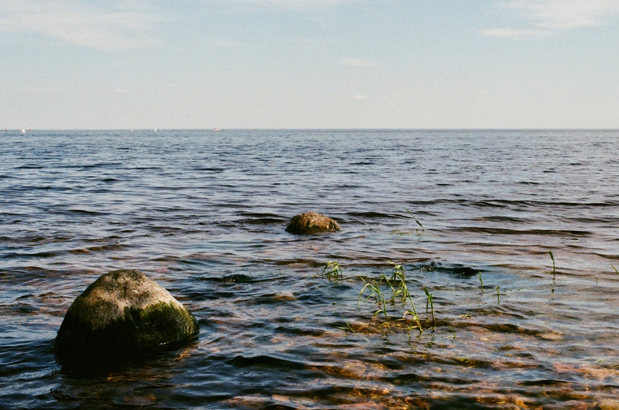 Film. Ruslan UI Dev Page