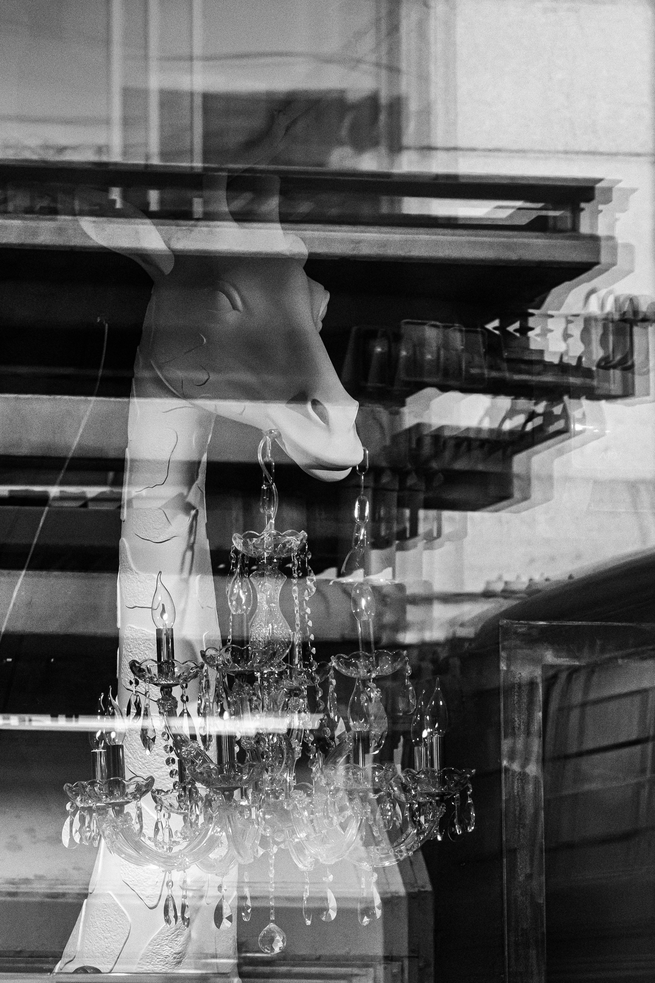 Dimitri Bakhtadze, black and white photos. Dimitri Bakhtadze photographer