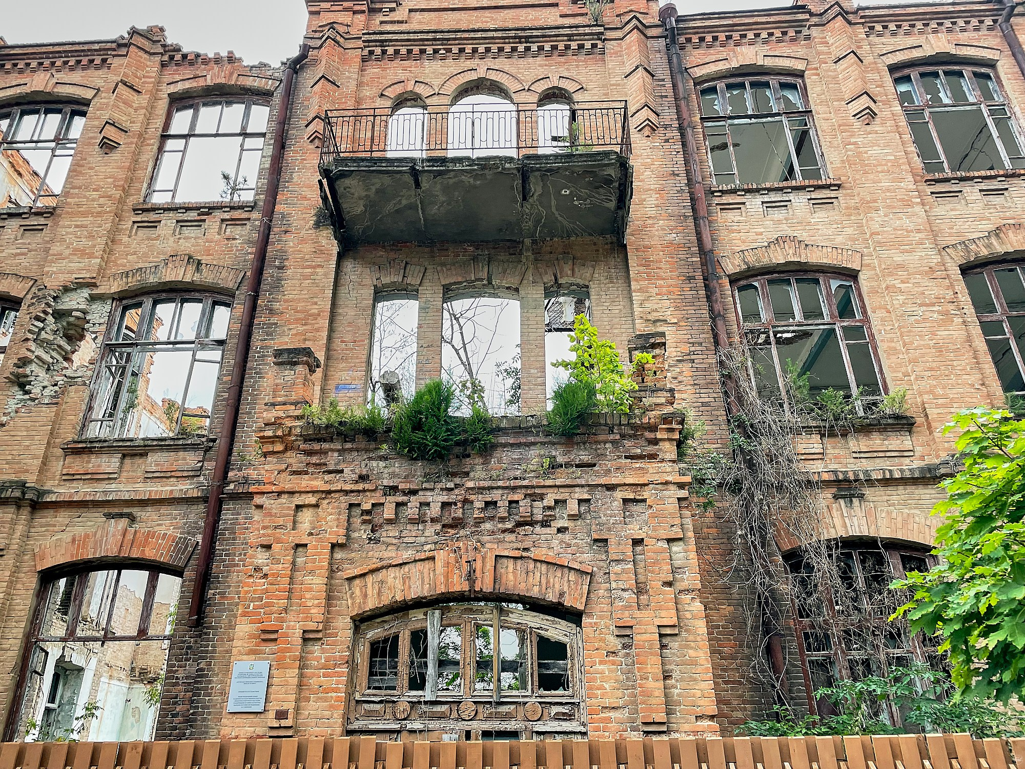 Санаторий им. Семашко, Кисловодск, август 2024. Фотографии отовсюду и обо всем