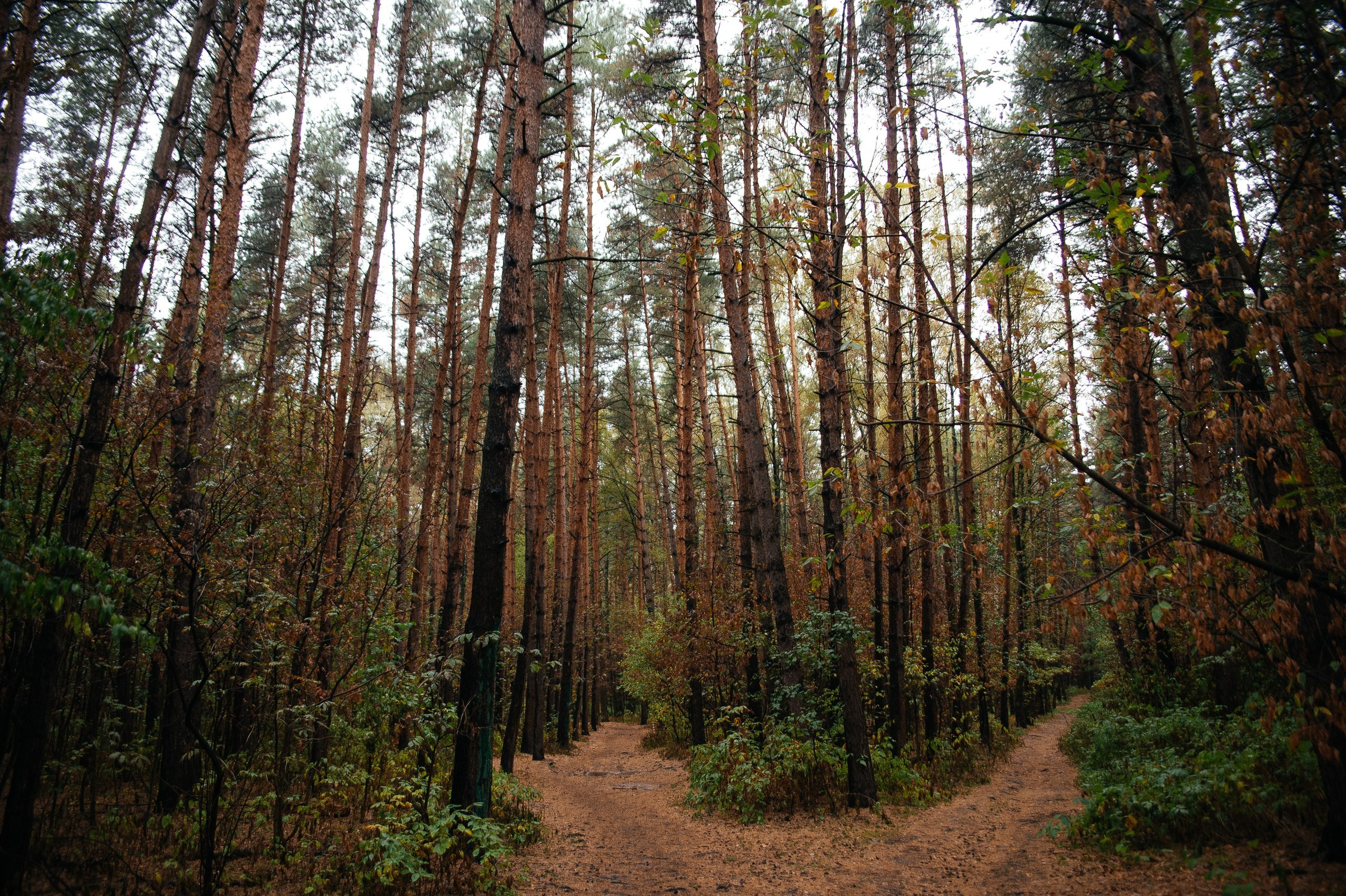 Фотосъемка спортивных мероприятий. Фотограф Москва
