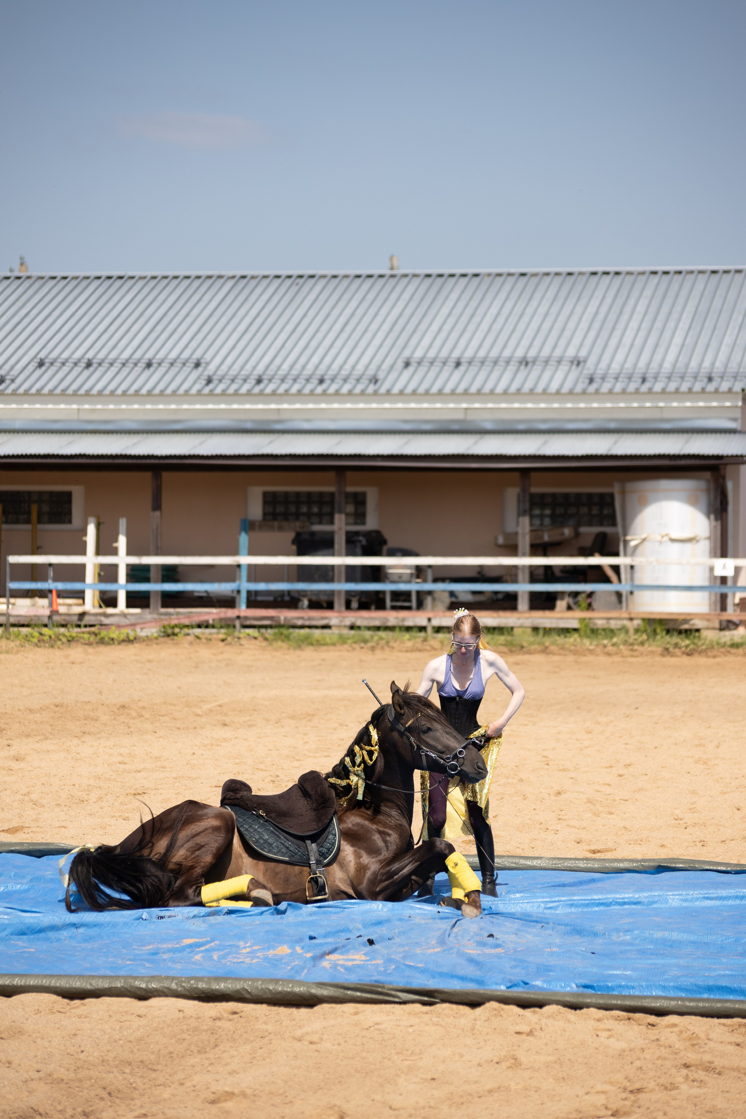 Конюшня. Фотограф в Москве и Истре