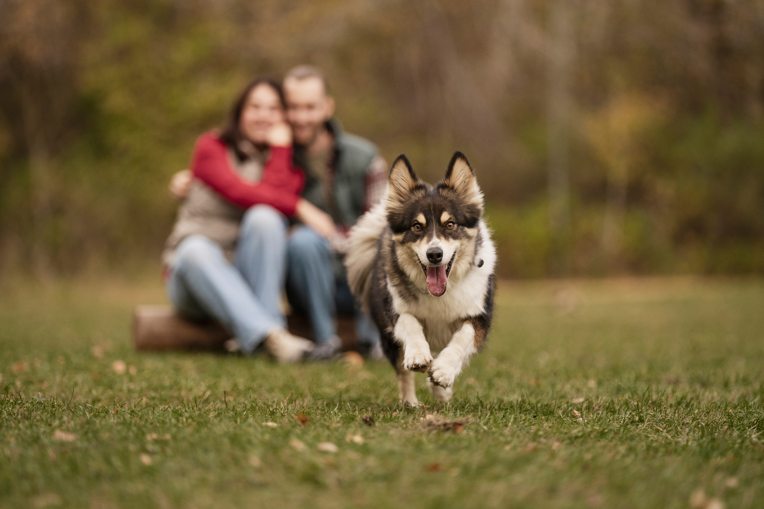 Катя + Сергей и Джек. Kameramotor74