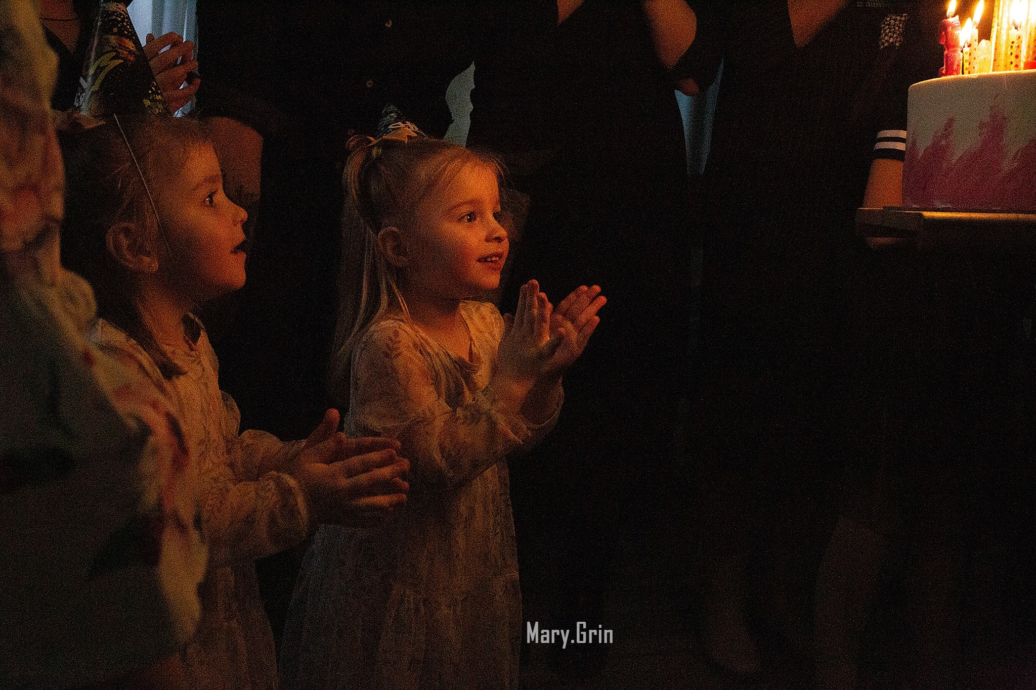 Детский день рождения в кафе Андерсон. Детский и семейный фотограф, фотограф мероприятий Нижний Новгород