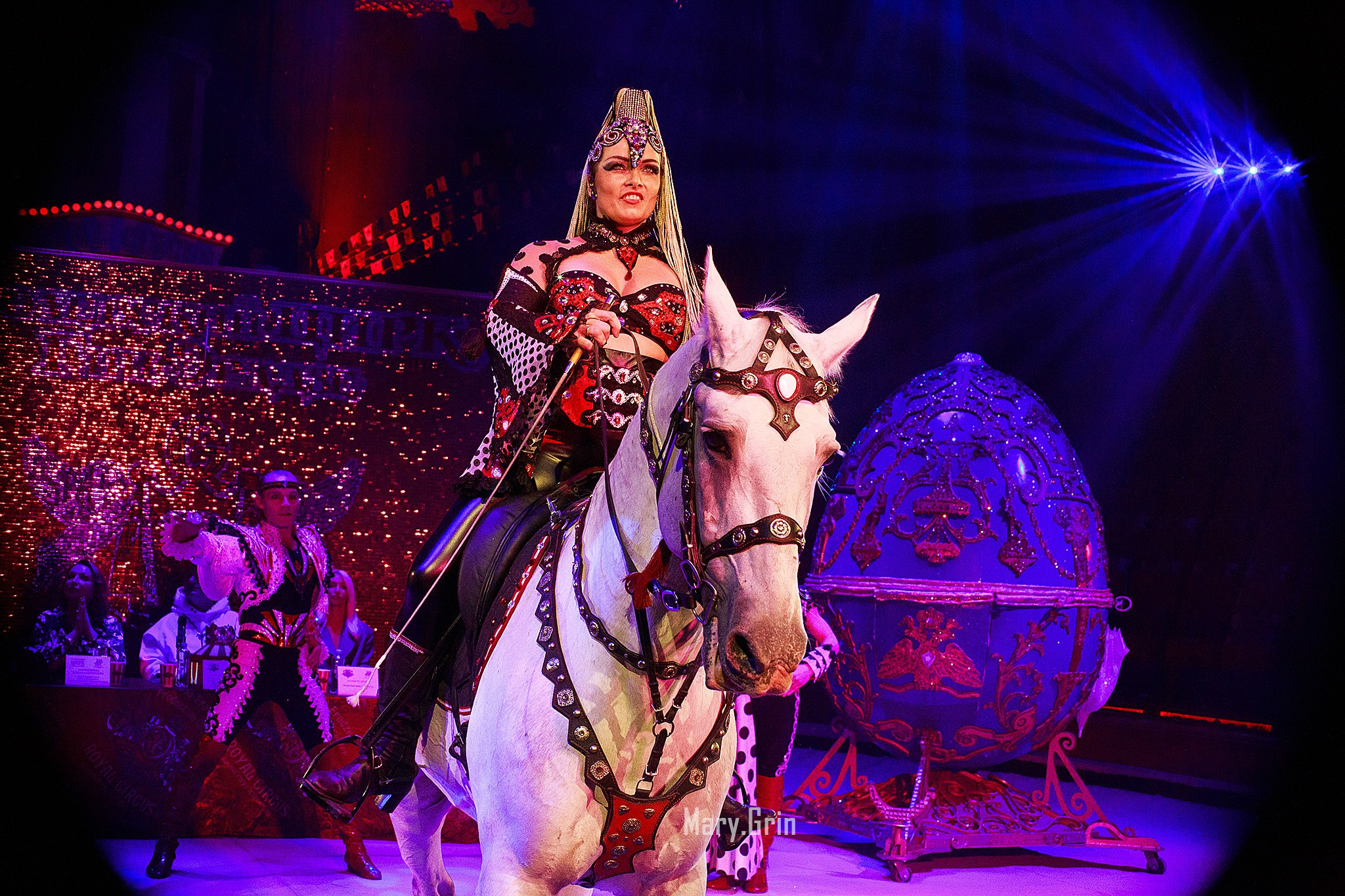 Цирк Гии Эрадзе. Детский и семейный фотограф, фотограф мероприятий Нижний Новгород