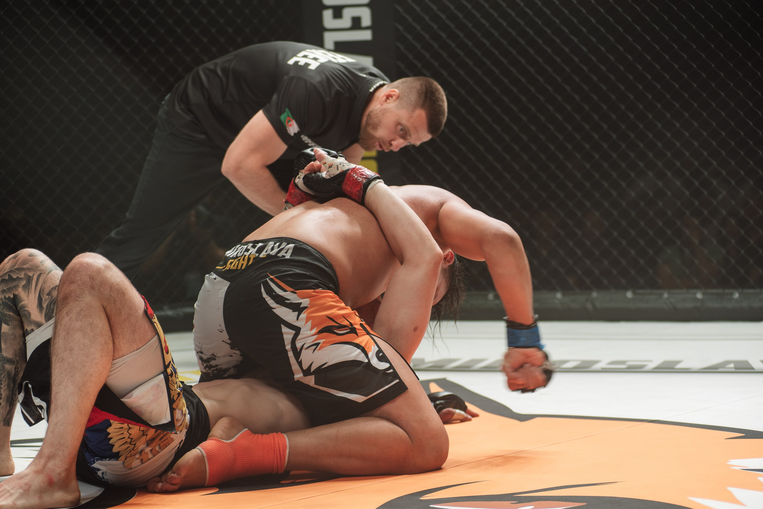 Miroslava Fight
