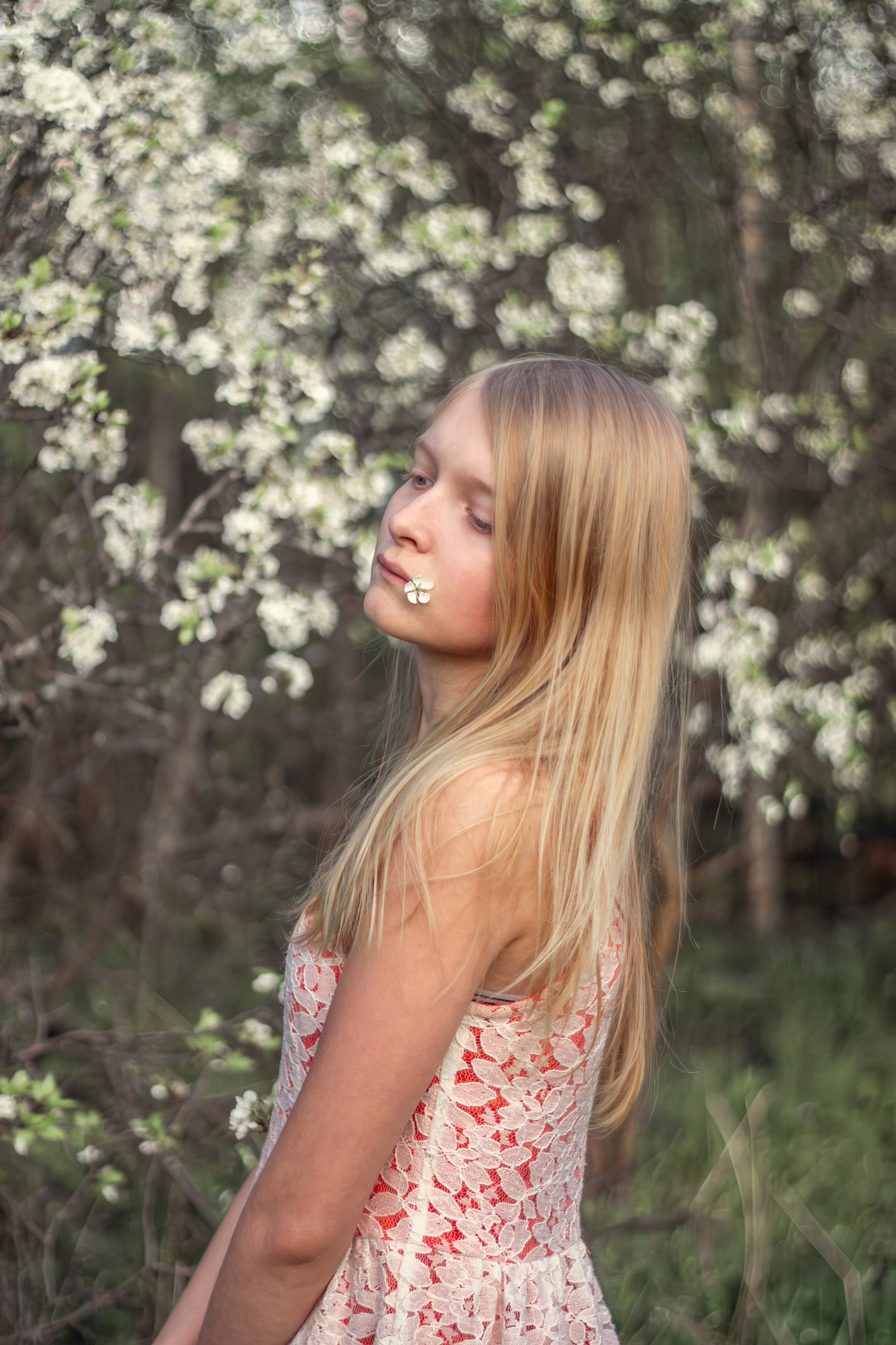 Весенняя съемка в саду. Свадебный и семейный фотограф Бологое Тверь — Ninel