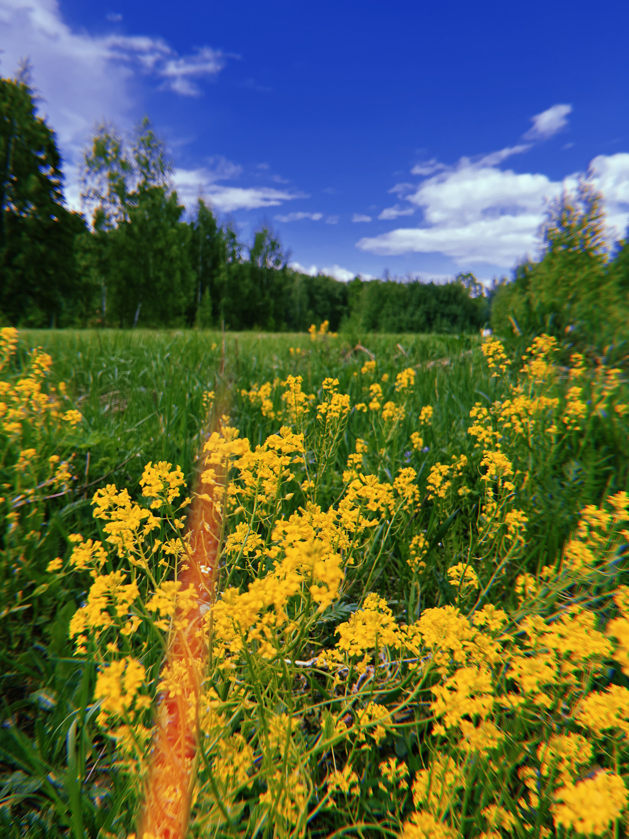 Визуальный дневник. Портретный фотограф в Москве Гахраманова Екатерина