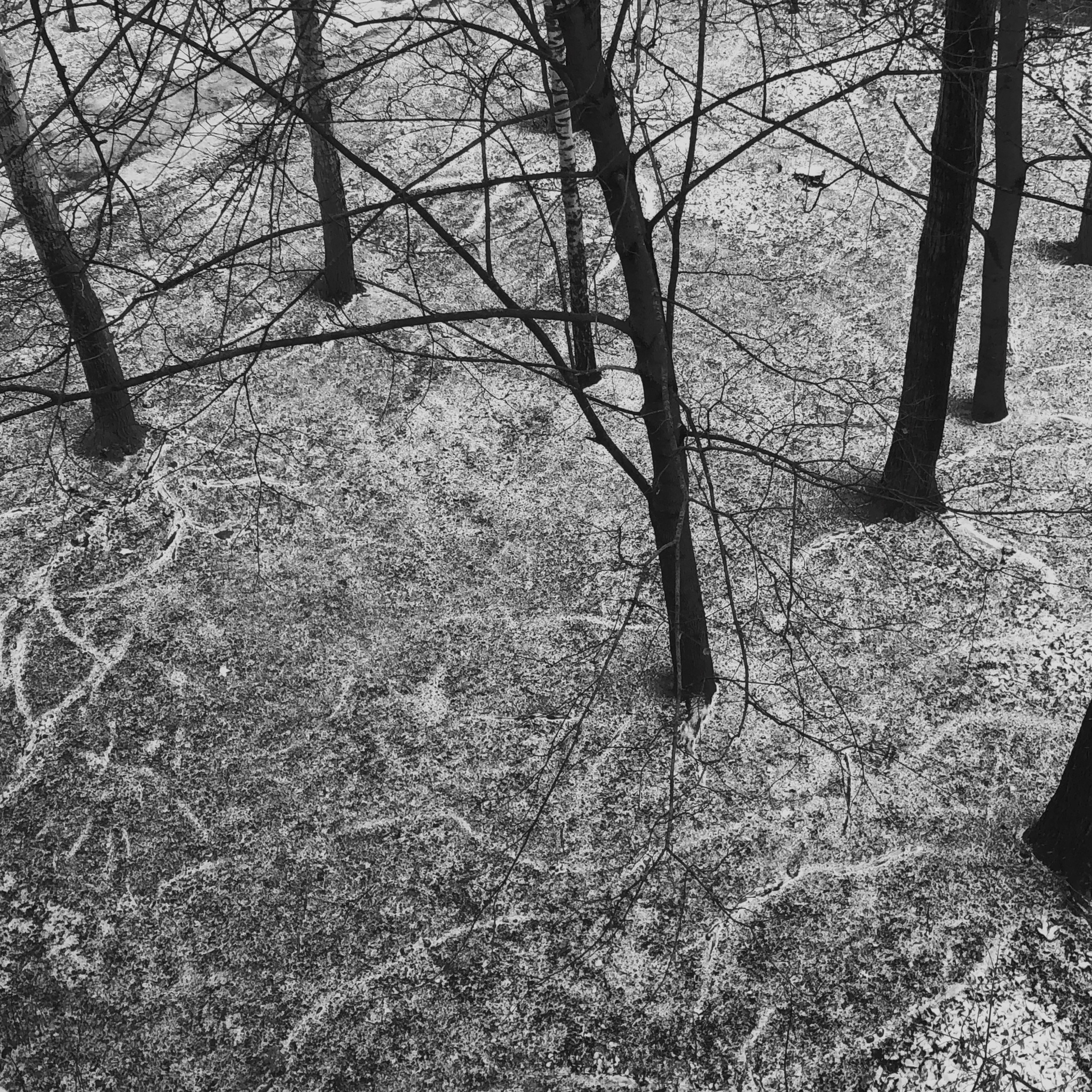 Визуальный дневник. Портретный фотограф в Москве Гахраманова Екатерина