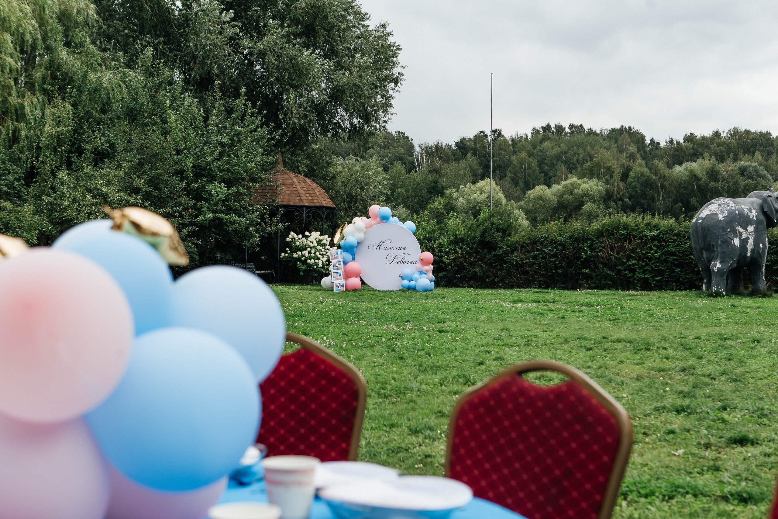 GENDER PARTY. Фотограф Абакумова Анастасия
