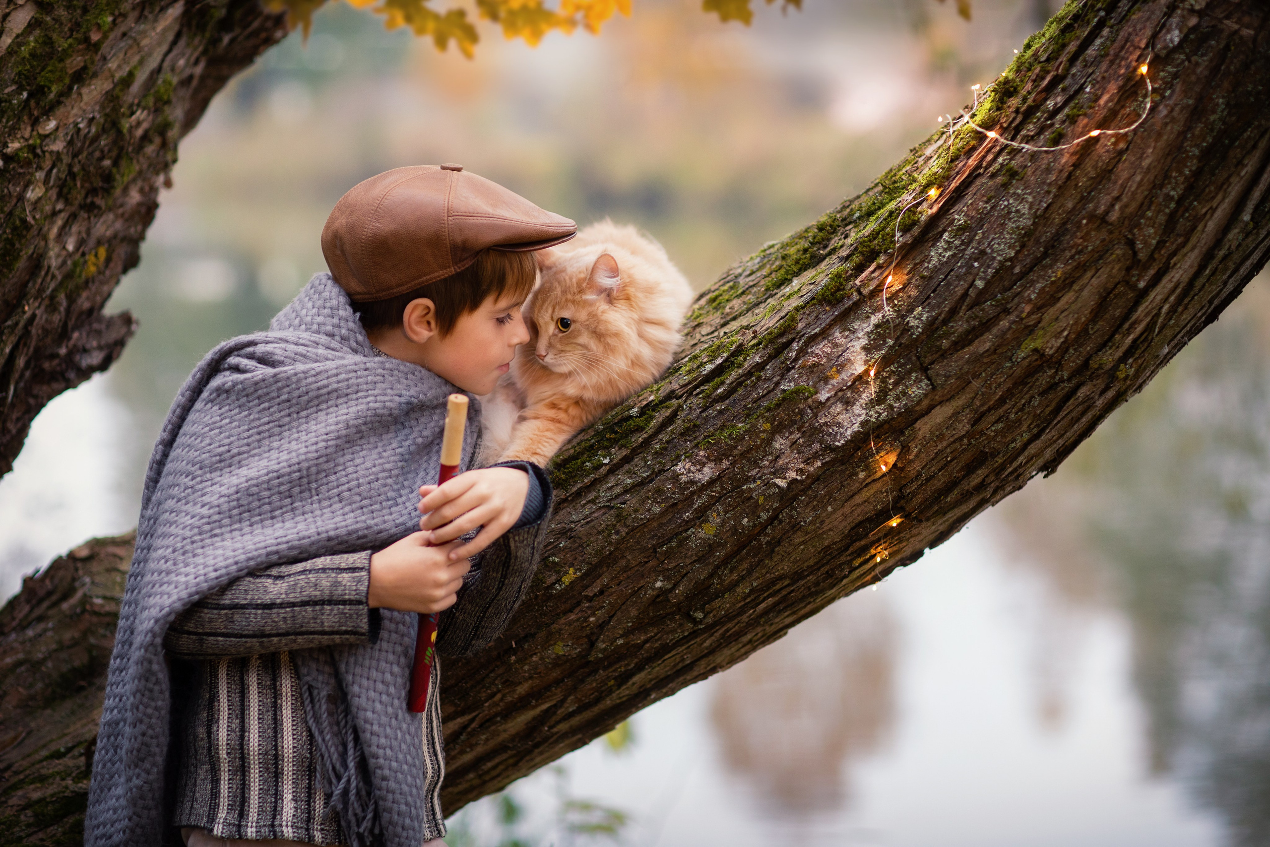 Даня и Рыжик. Фотограф Минск Юлия Войнич