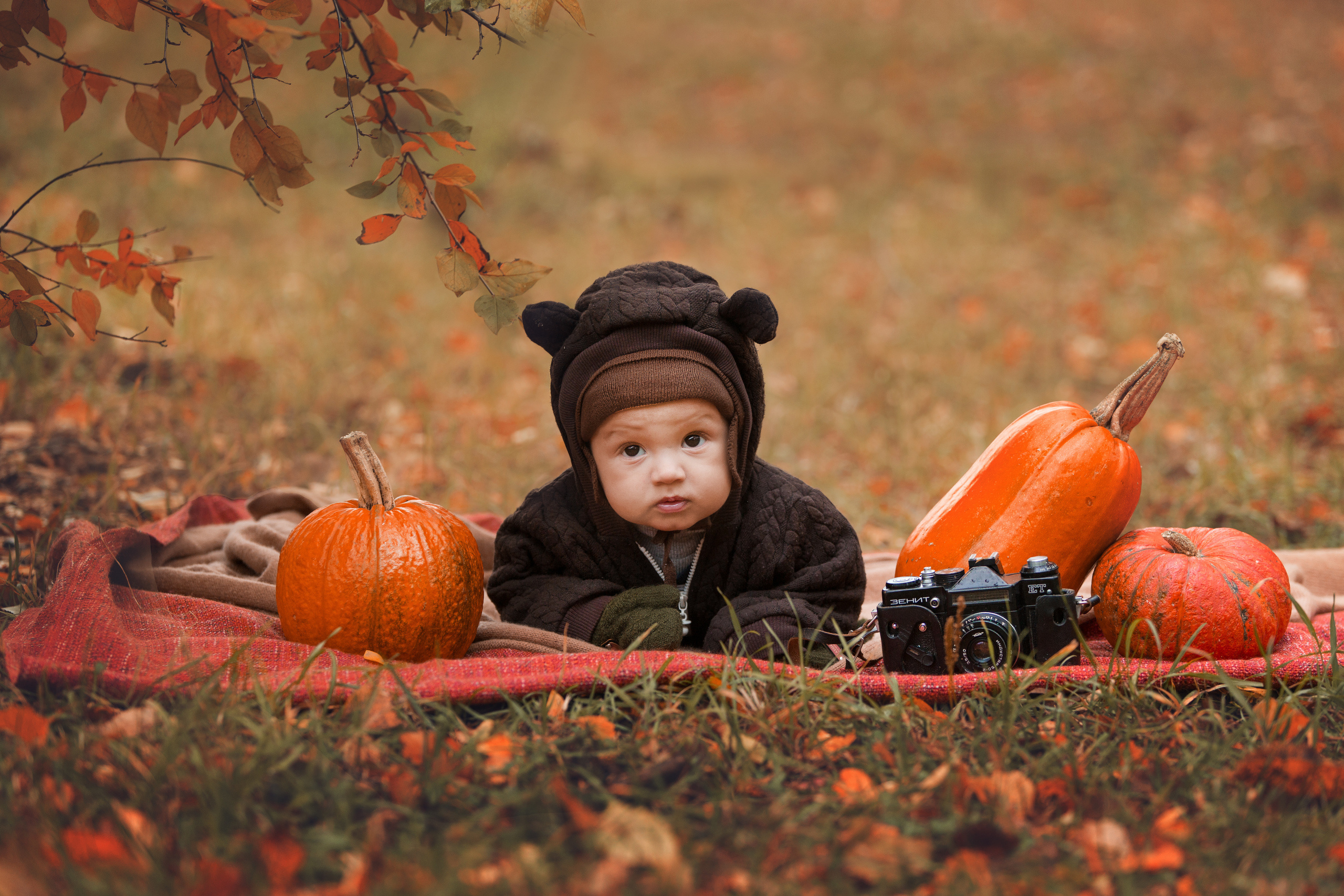 Осенние фотопрогулки. Фотограф Лия Милк | Москва, Подмосковье