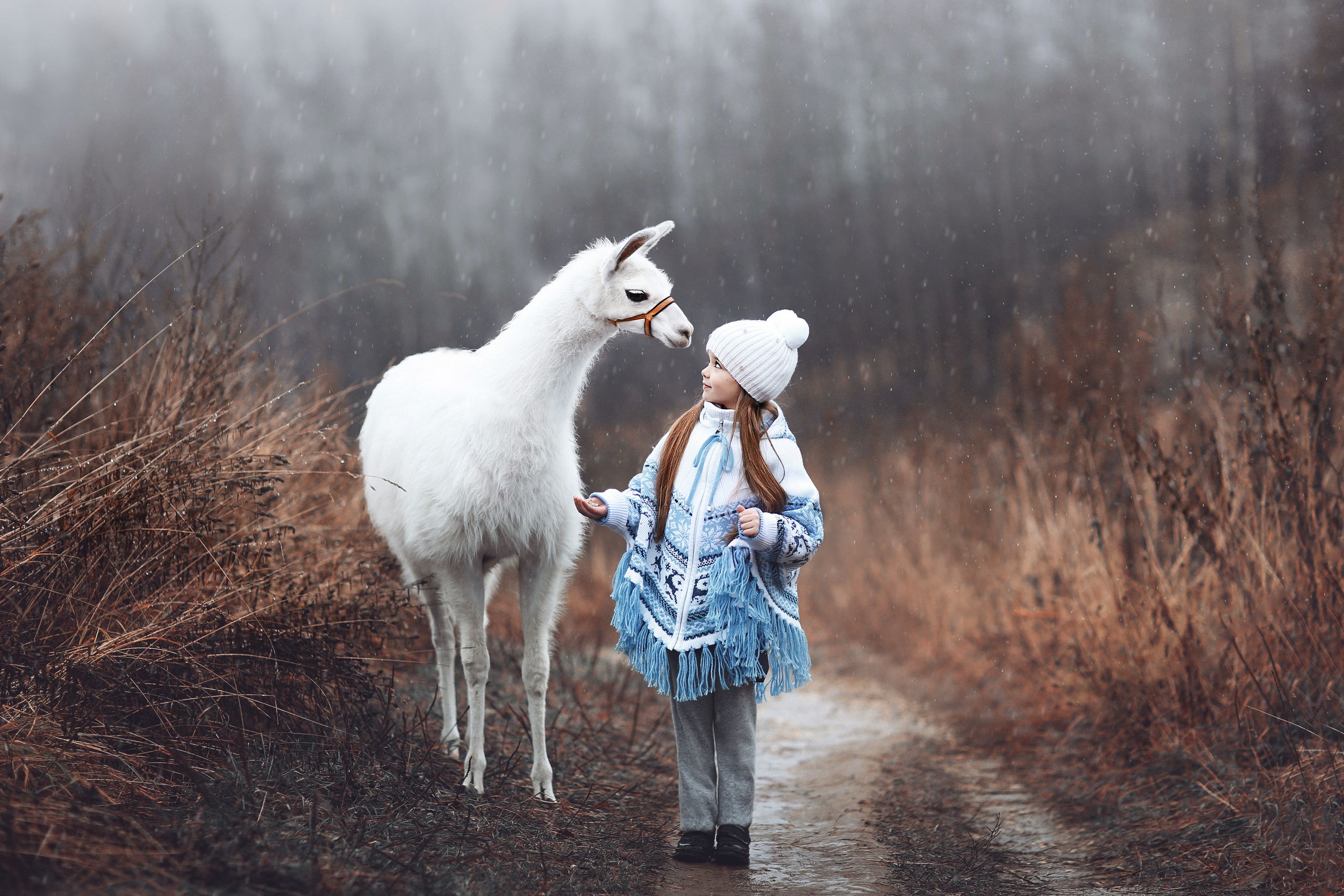 альпака, фотосессия с альпакой, сказочная фотосессия, артфото, , детская фотосессия, сказка, сказочное фото