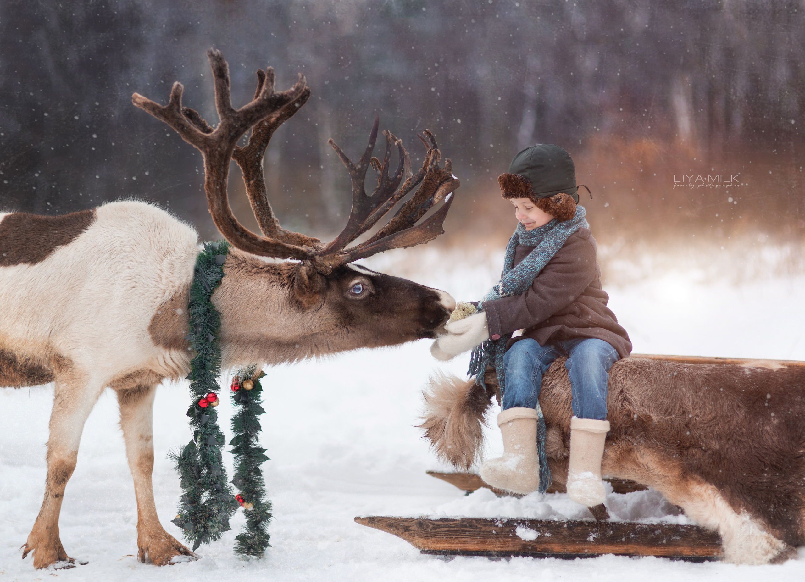 Фотосессии с оленями. Фотограф Лия Милк | Москва, Подмосковье