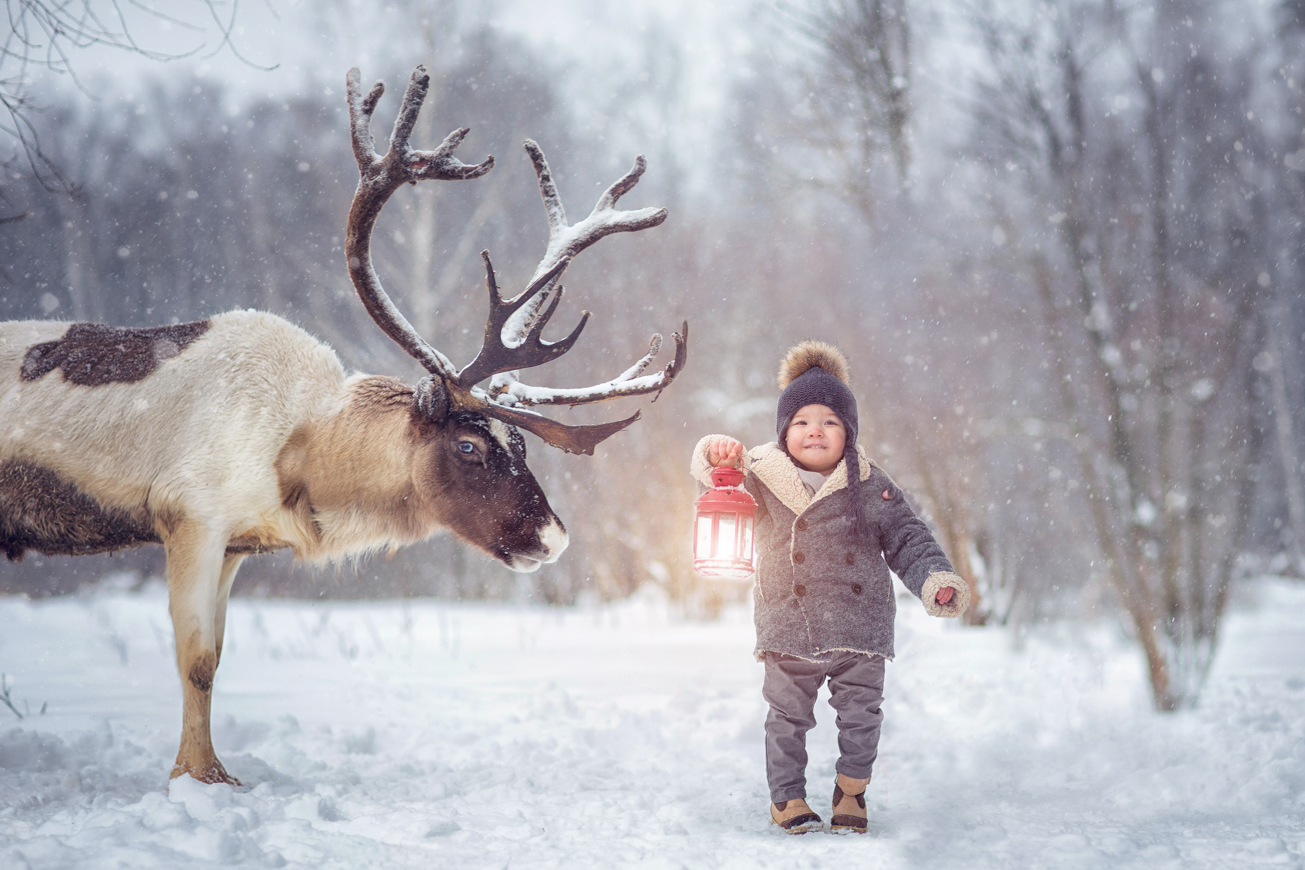 Фотосессии с оленями. Фотограф Лия Милк | Москва, Подмосковье