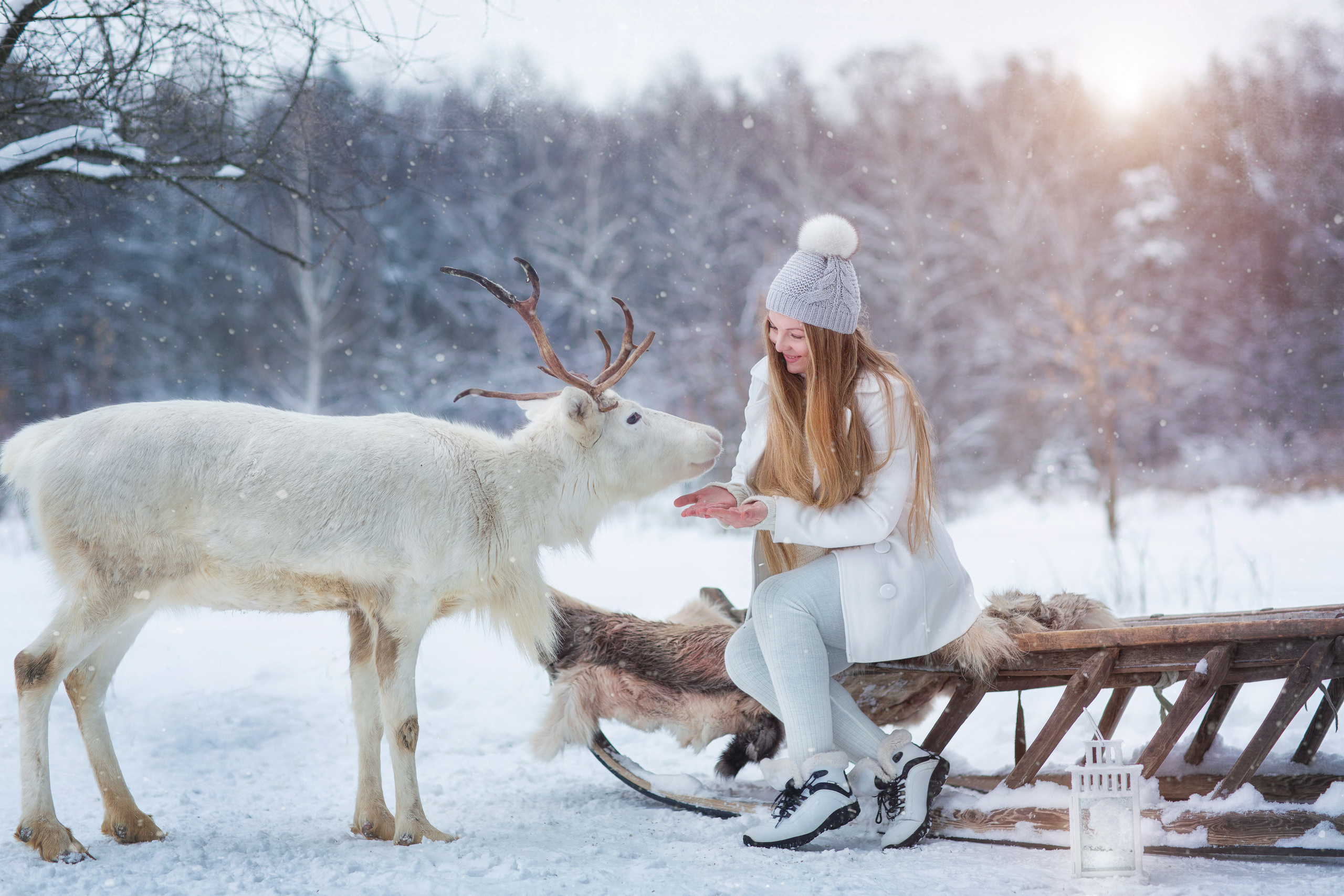 Фотосессии с оленями. Фотограф Лия Милк | Москва, Подмосковье