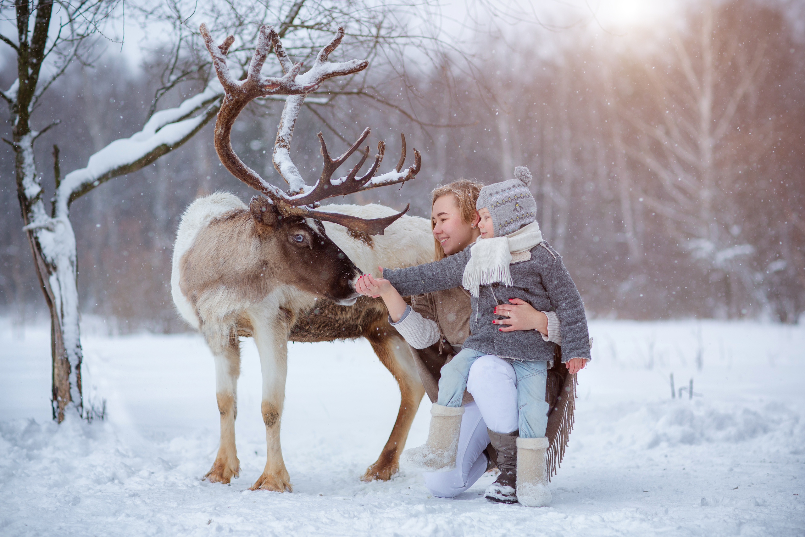 Фотосессии с оленями. Фотограф Лия Милк | Москва, Подмосковье
