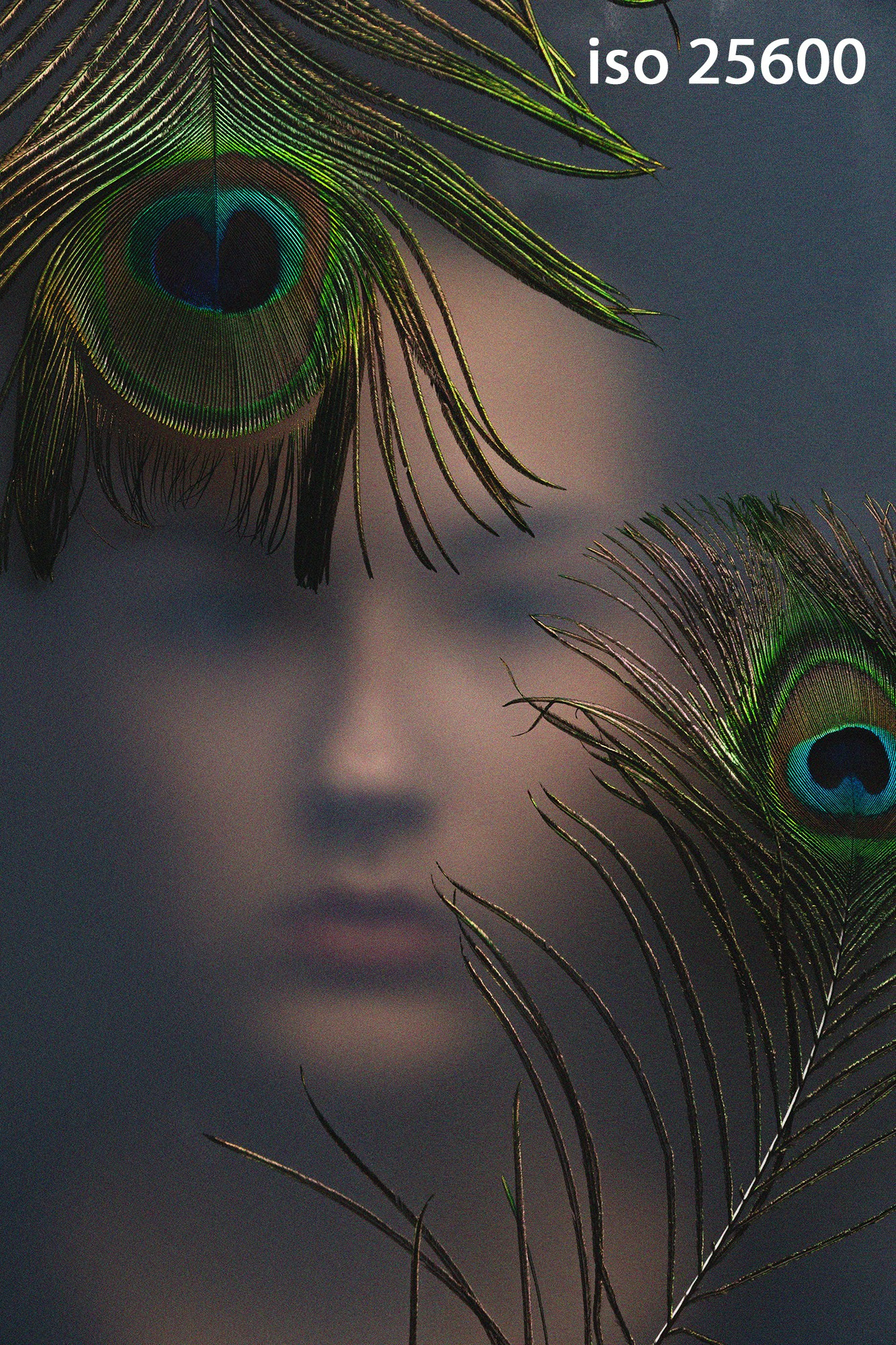 Фотошкола FOTOFQSKOOL: очное и онлайн обучение для всех уровней. FOTOFAQ SKOOL г. Санкт-Петербург: очные, дистанционные и онлайн курсы фотографии