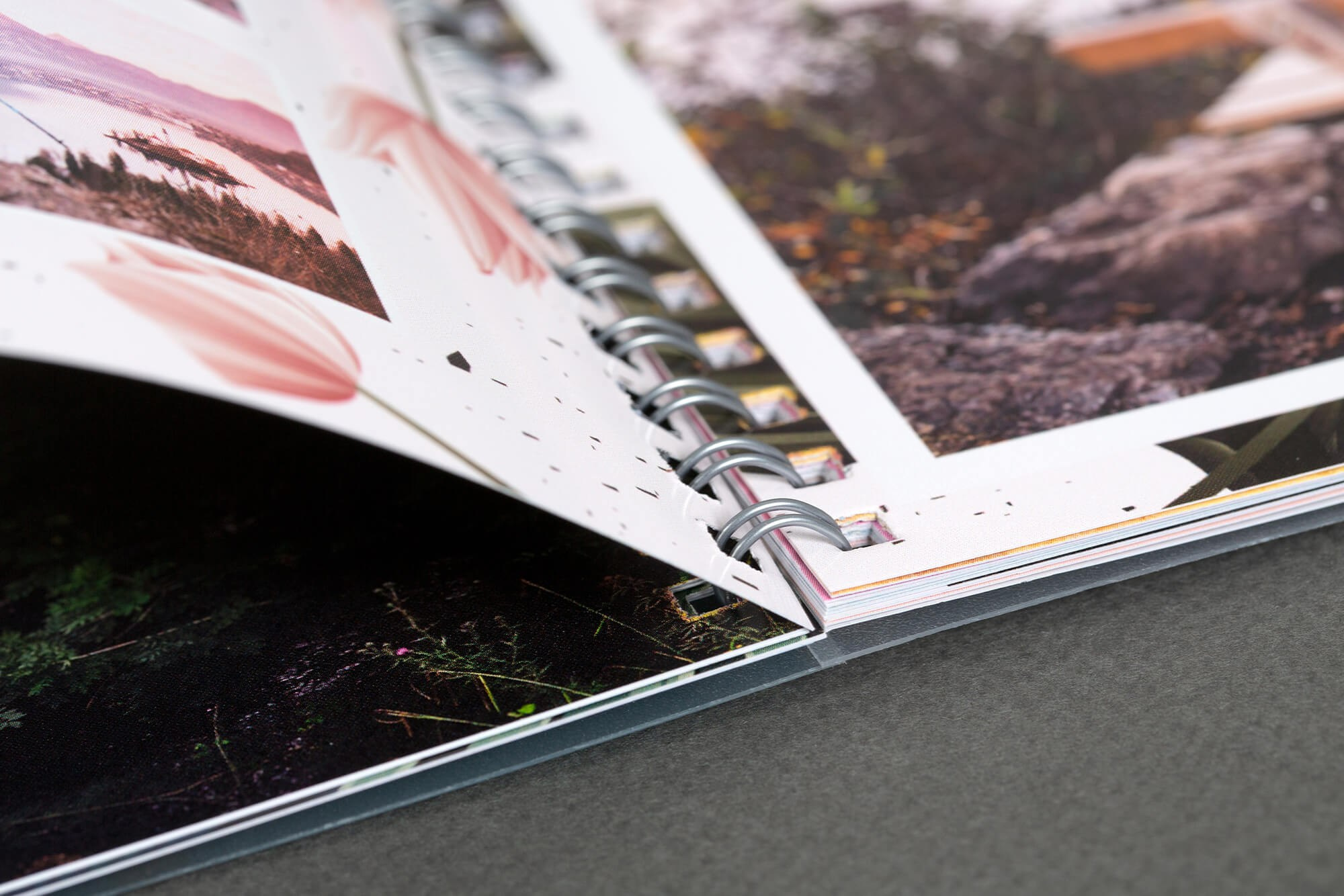 Услуги и цены. Семейный и детский фотограф во Владивостоке Мария Гой