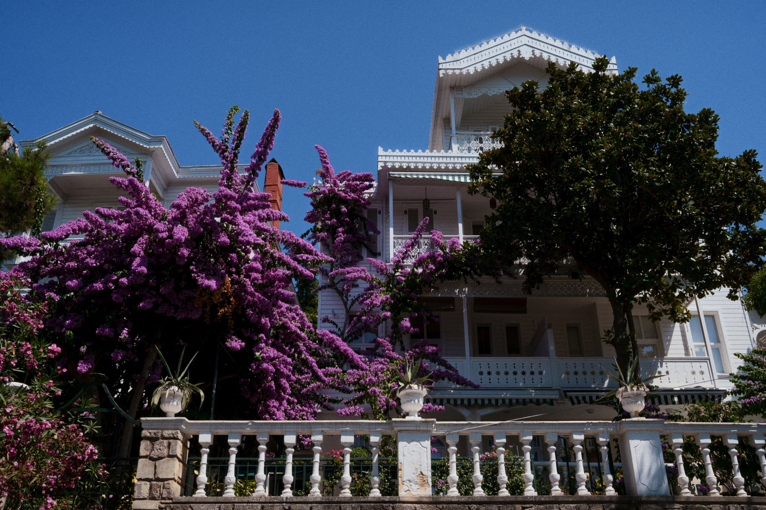 Büyükada х Heybeliada, Istanbul / Türkey SS25. Фотограф Юрин Евгений