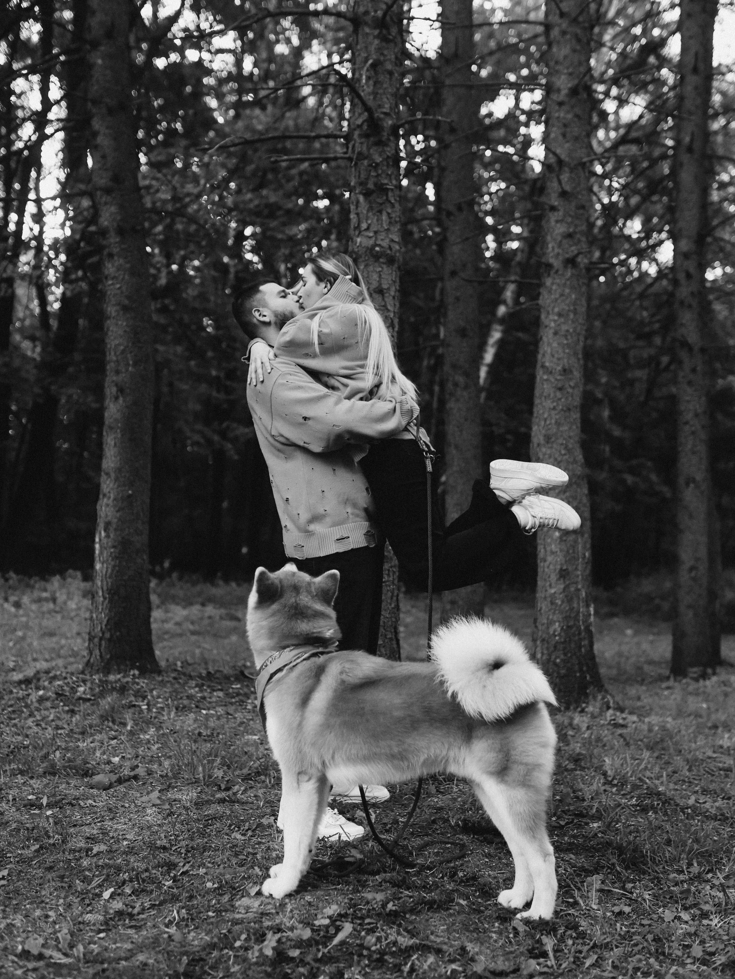 Гранд, Вика и Степан. Фотограф-анималист в Москве Кириллова Татьяна