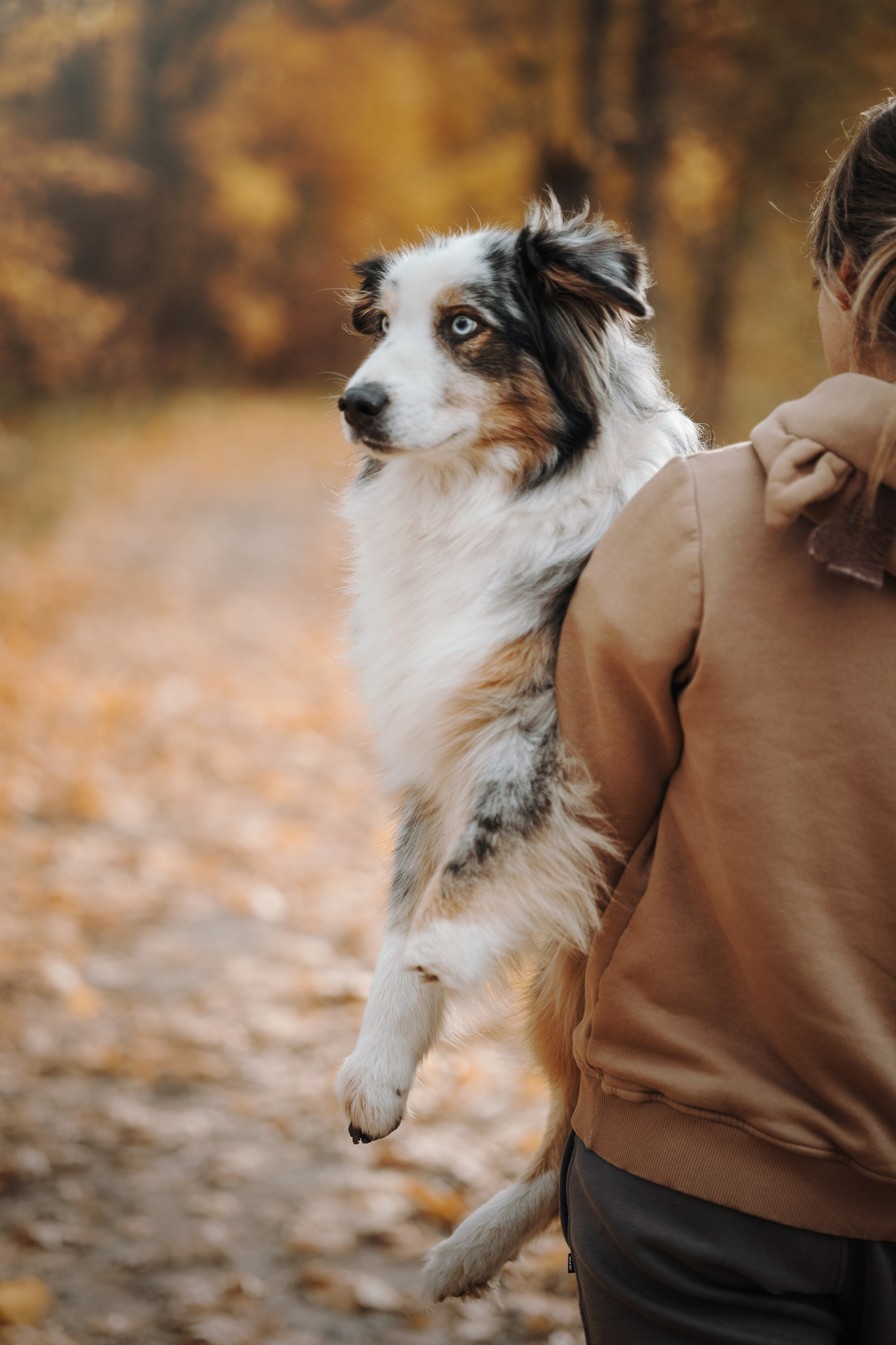 Бэстик и Ирина. Фотограф — Анималист | Санкт-Петербург