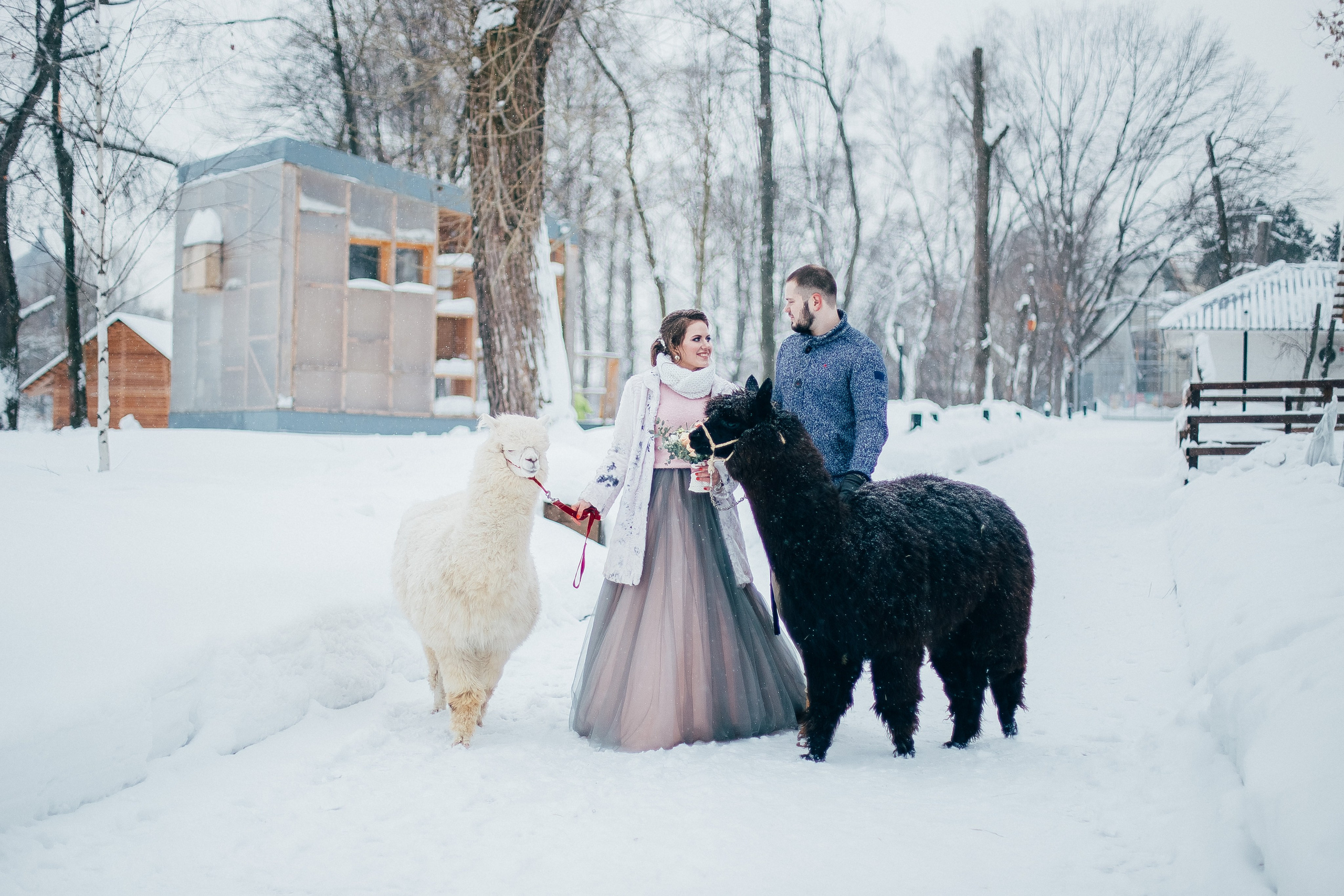 Антон и Анастасия. Свадебный и семейный фотограф Екатерина Бубнова