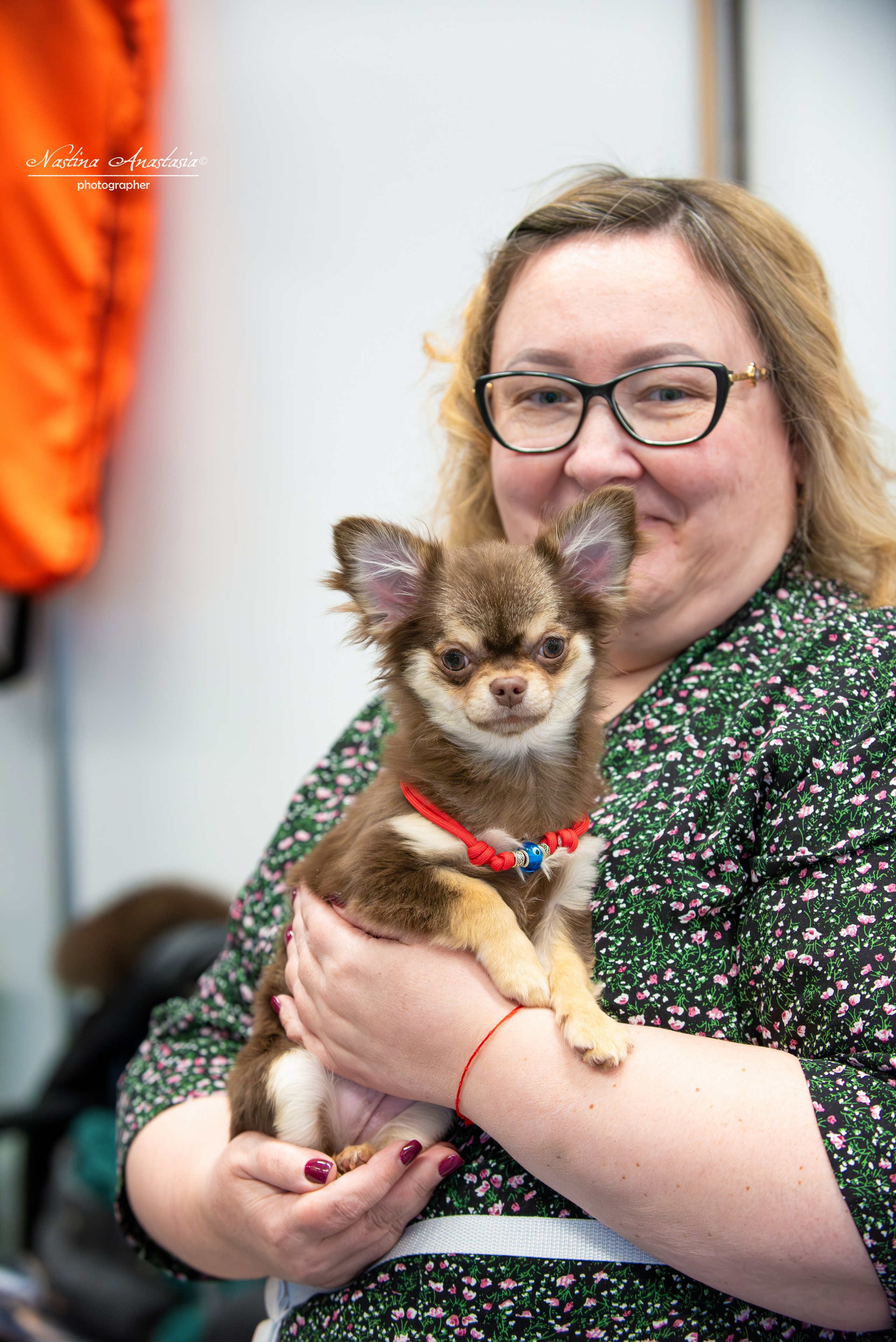 Выставки. Фотограф — Анималист