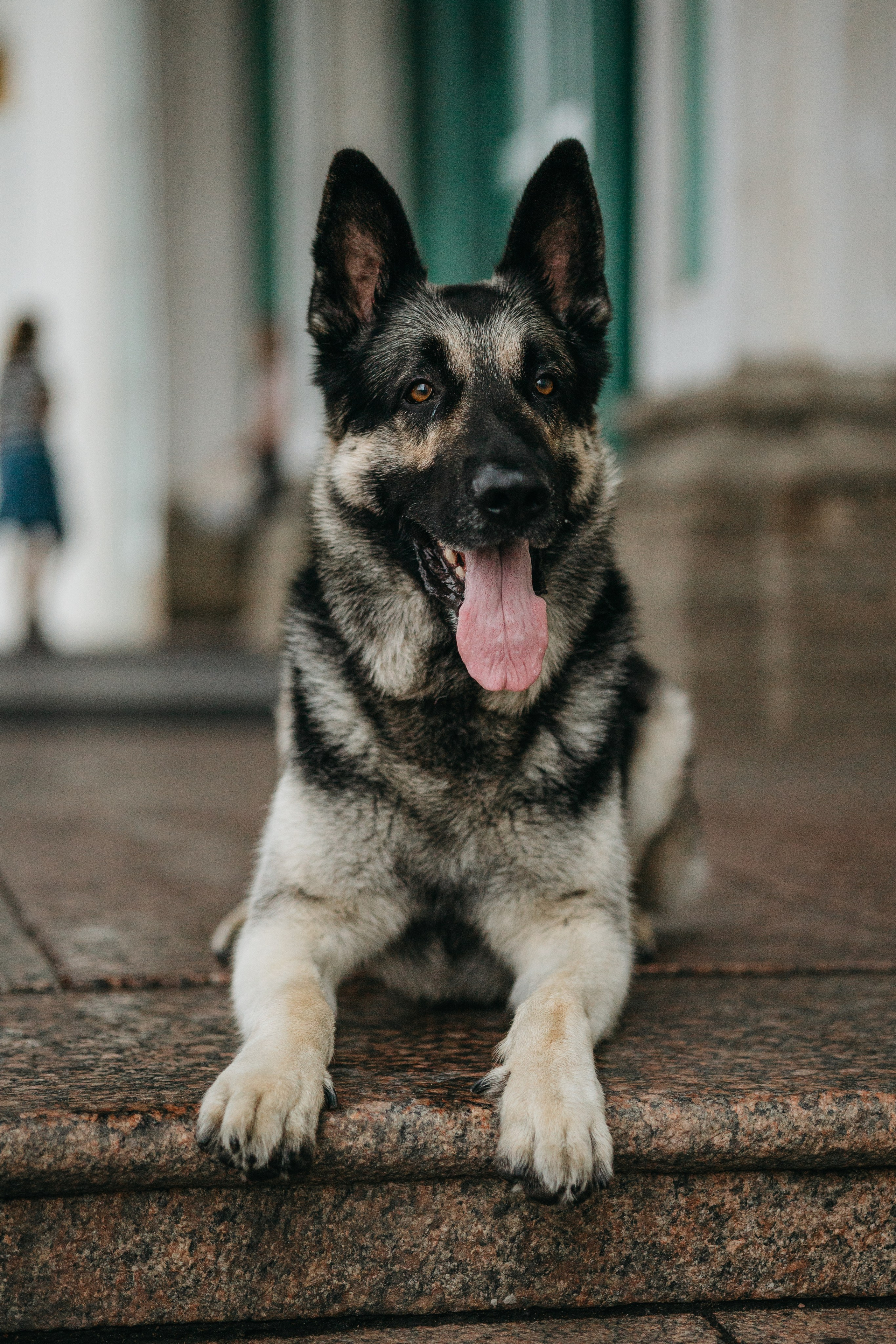 Рей и Ксения. Фотограф — Анималист | Санкт-Петербург