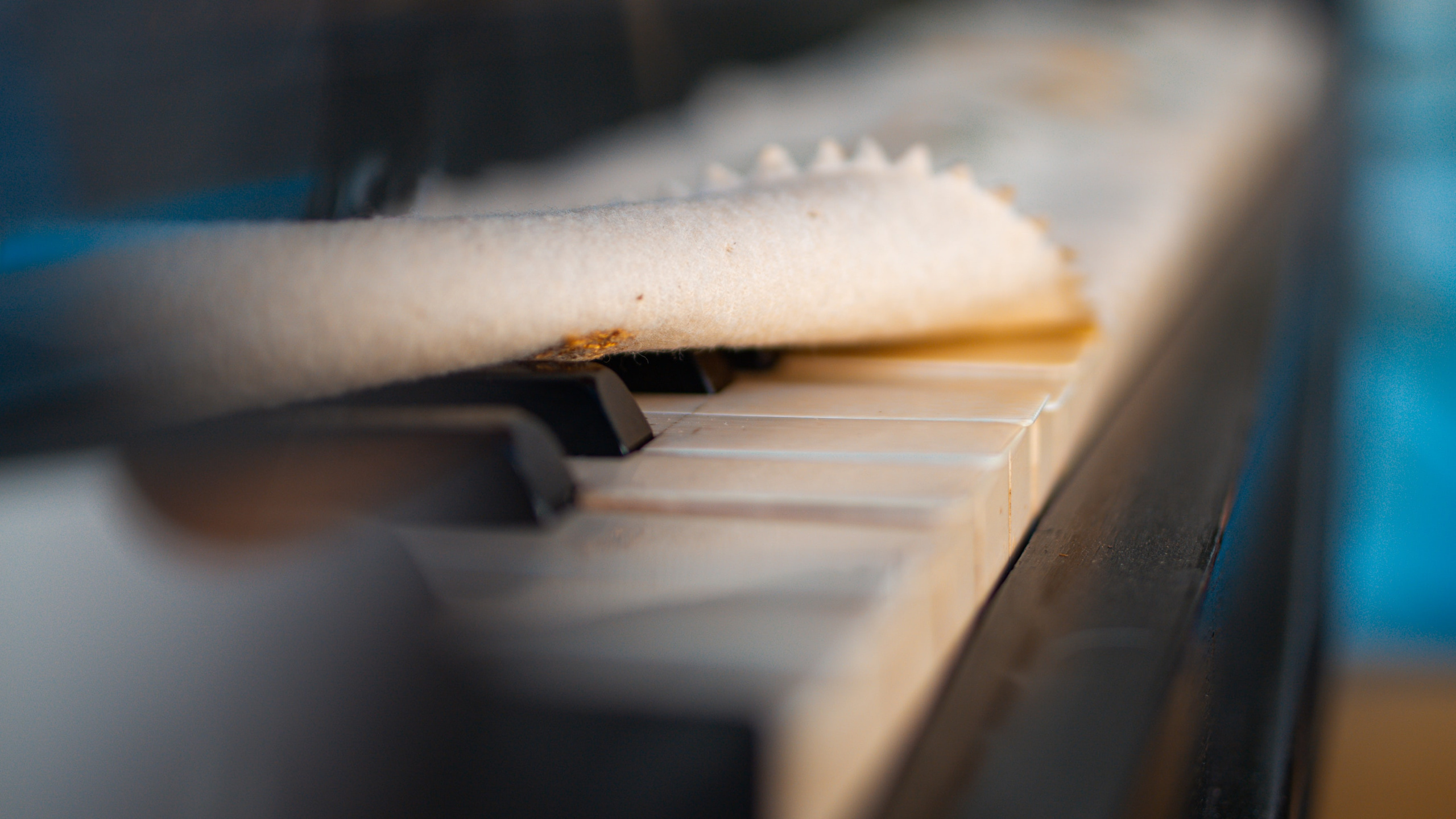 Moments of life in Bali