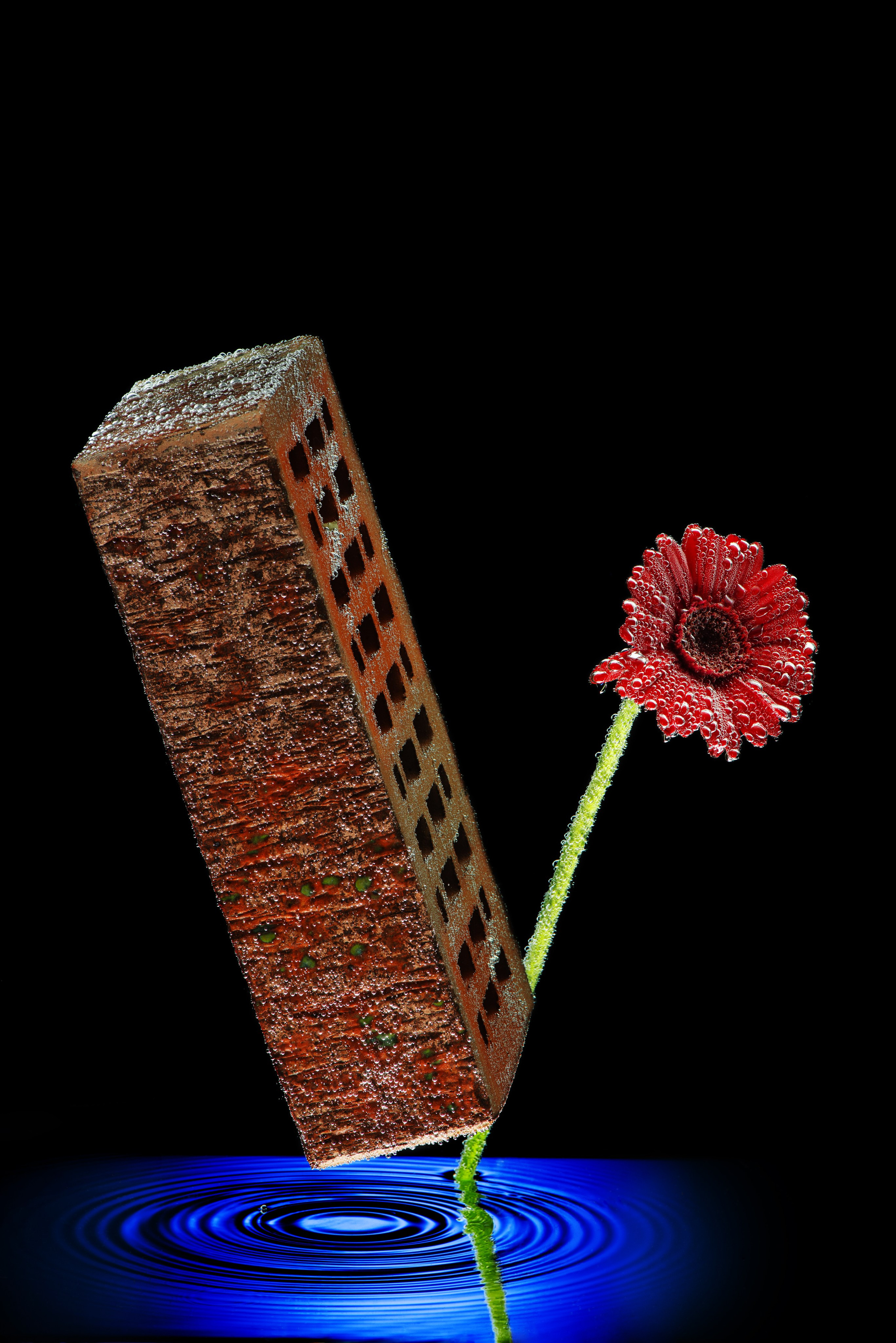 Славянский кирпич