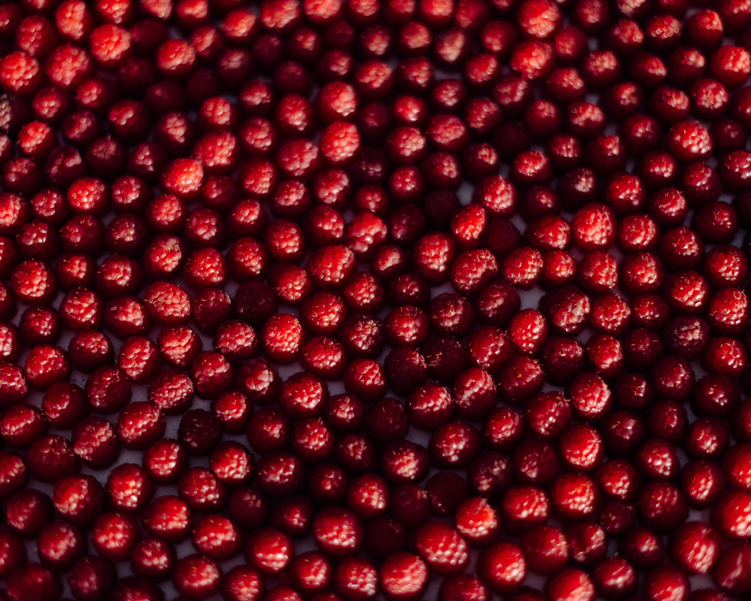 Илья да Вероничка. Свадебный и портретный фотограф в Москве Анна Плавская