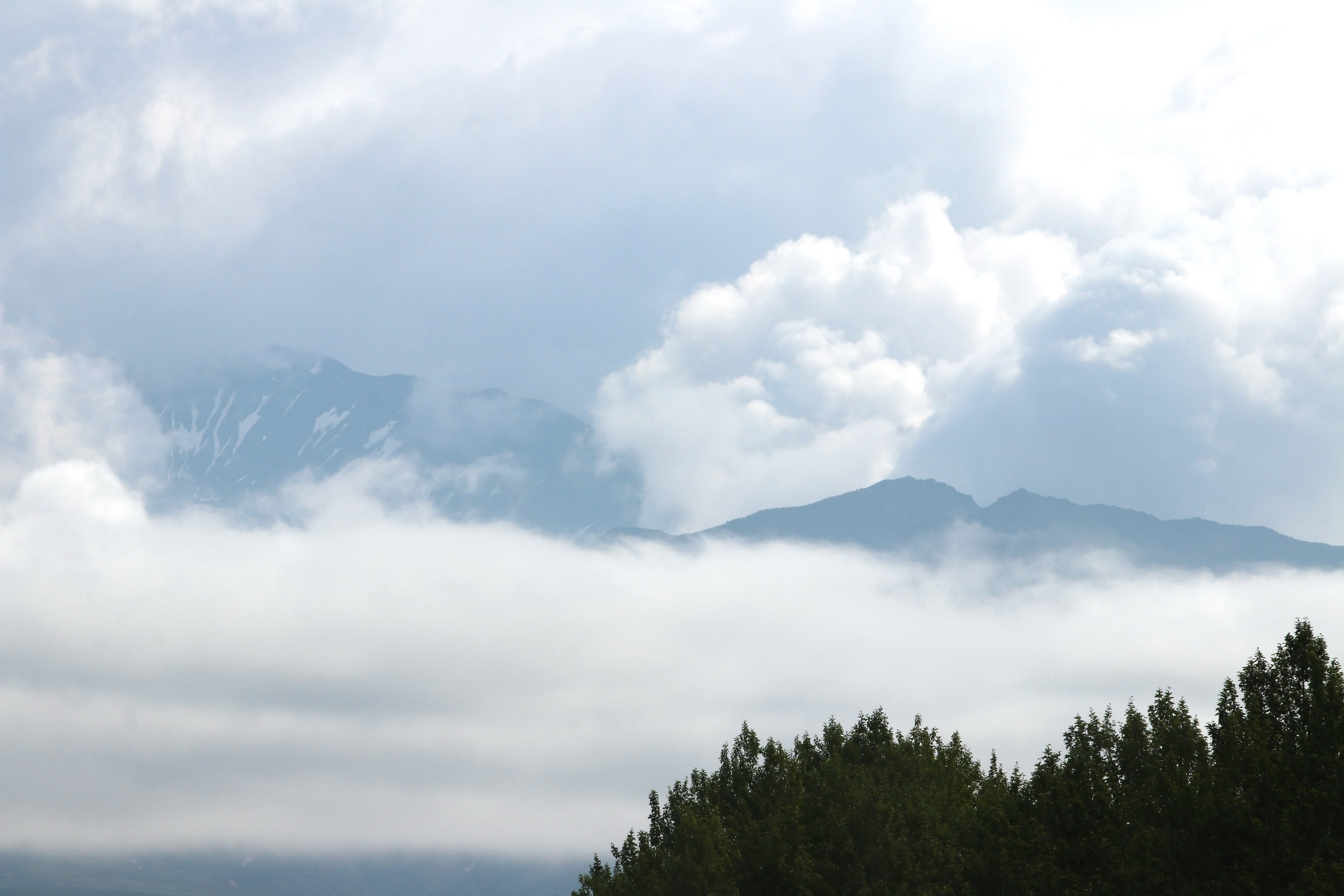 Камчатка и о. Парамушир. Июль 2024. Путешественник-фотограф из Санкт-Петербурга Татьяна Свистулина