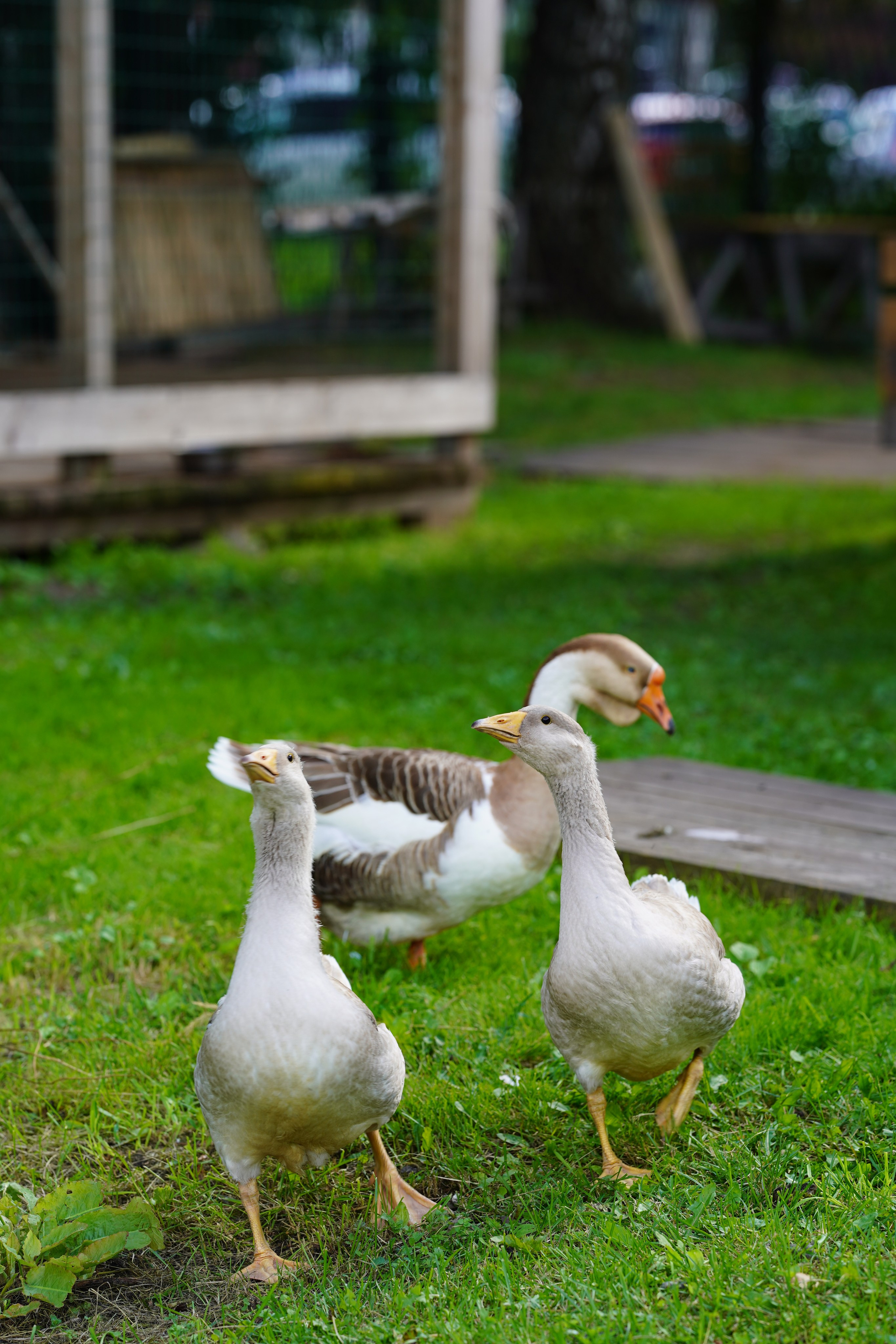 Суздаль Пейзаж. Фотограф в Москве Мария ~Zagagul~