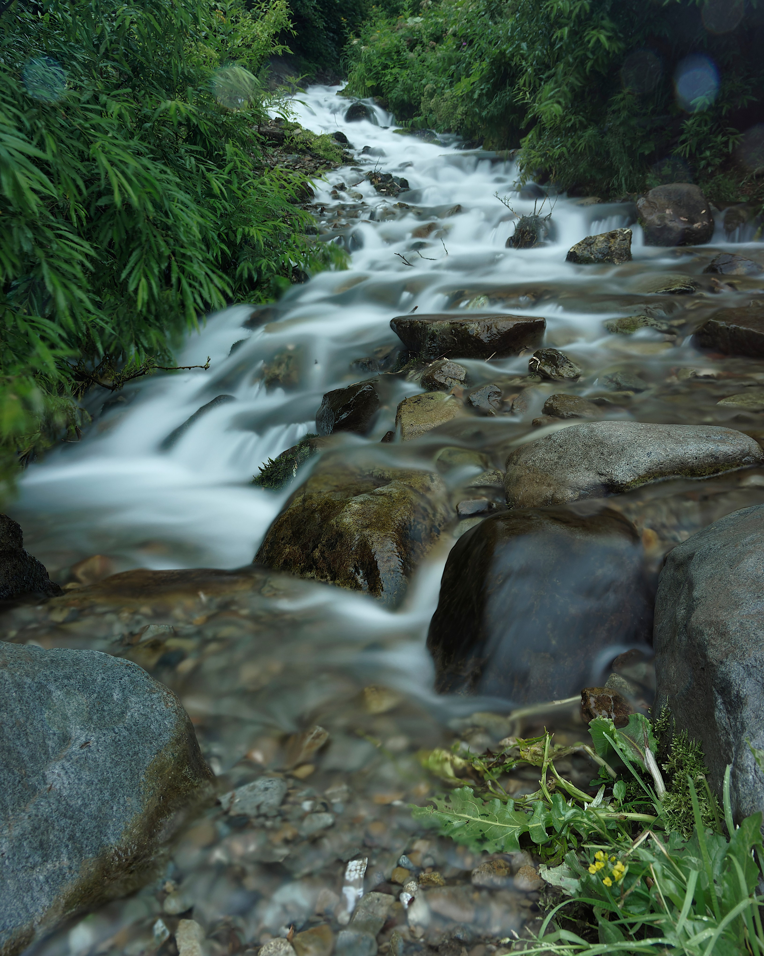 Камчатка. Фототрип. Тур?. Семоха Валерий. Фотограф