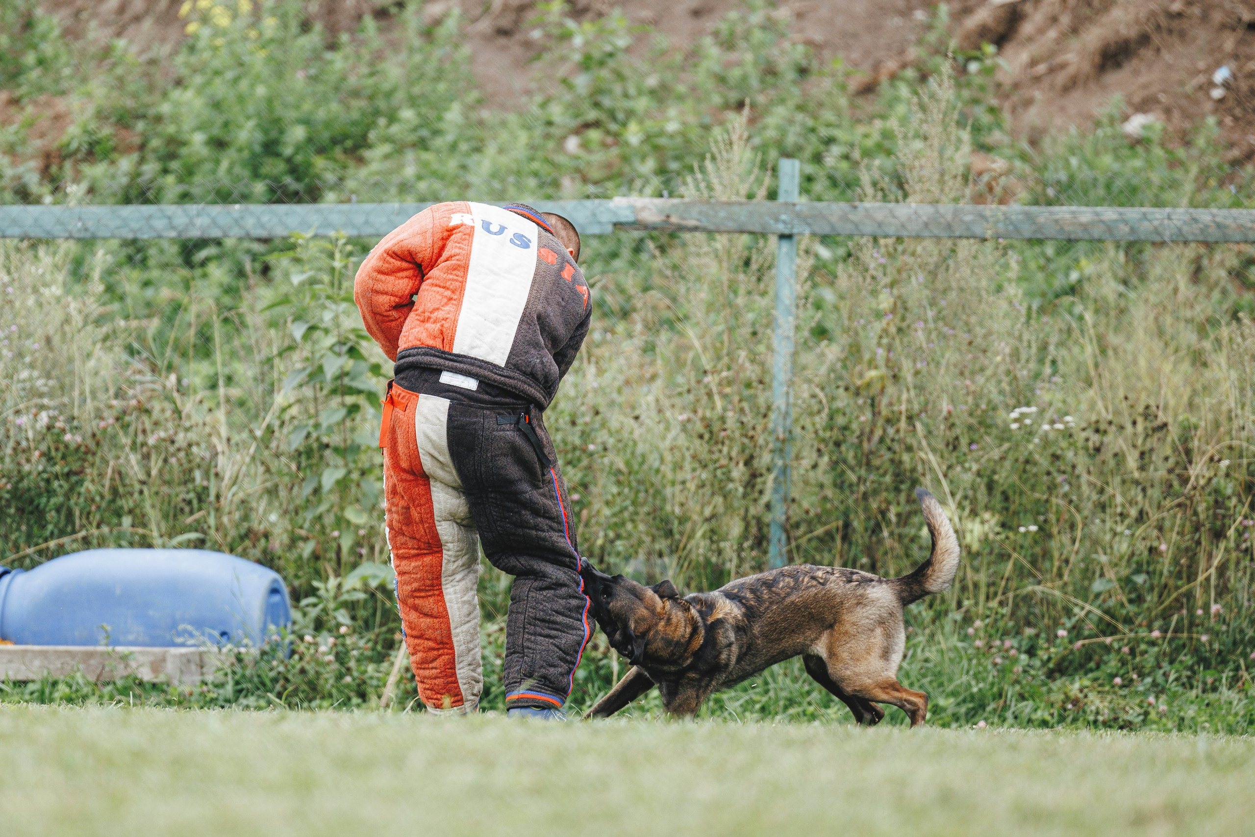 08.08.25-10.08.25 ЧР по мондьорингу г. Вологда. Фотограф-анималист Анна Маринич
