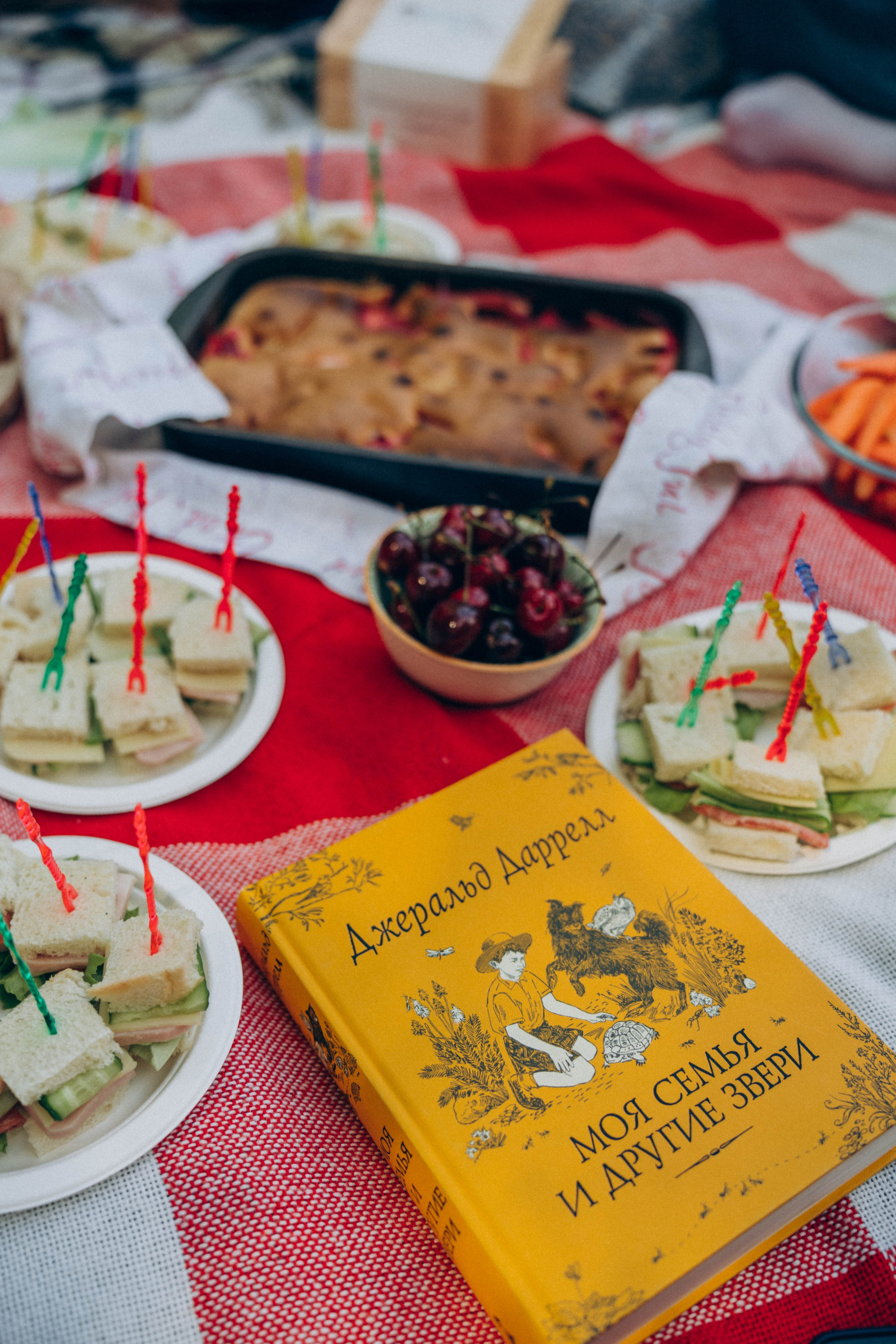 Встречи книжного клуба. Фотограф Москва Селюкова Юлия
