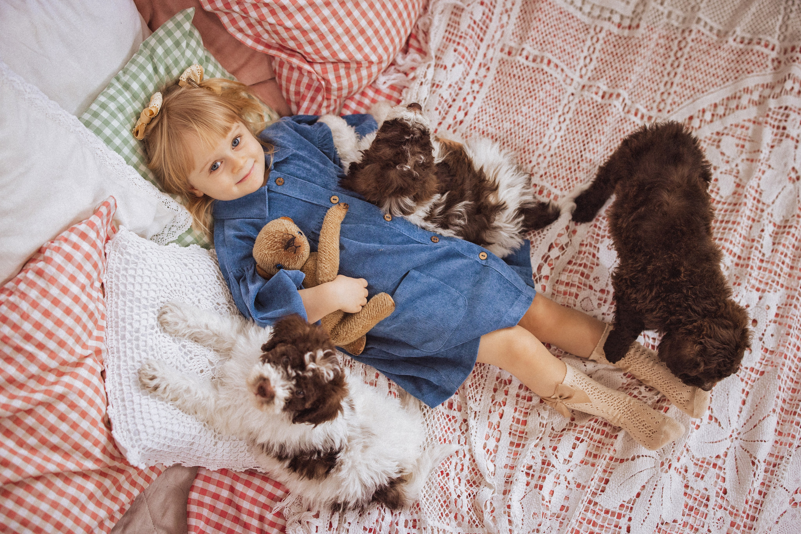 Фотосессия с щенками Лаго́тто-романьо́ло, в Винтажной фотостудии город Краснодар. Семейный и детский фотограф в Краснодаре Анна Трашкова