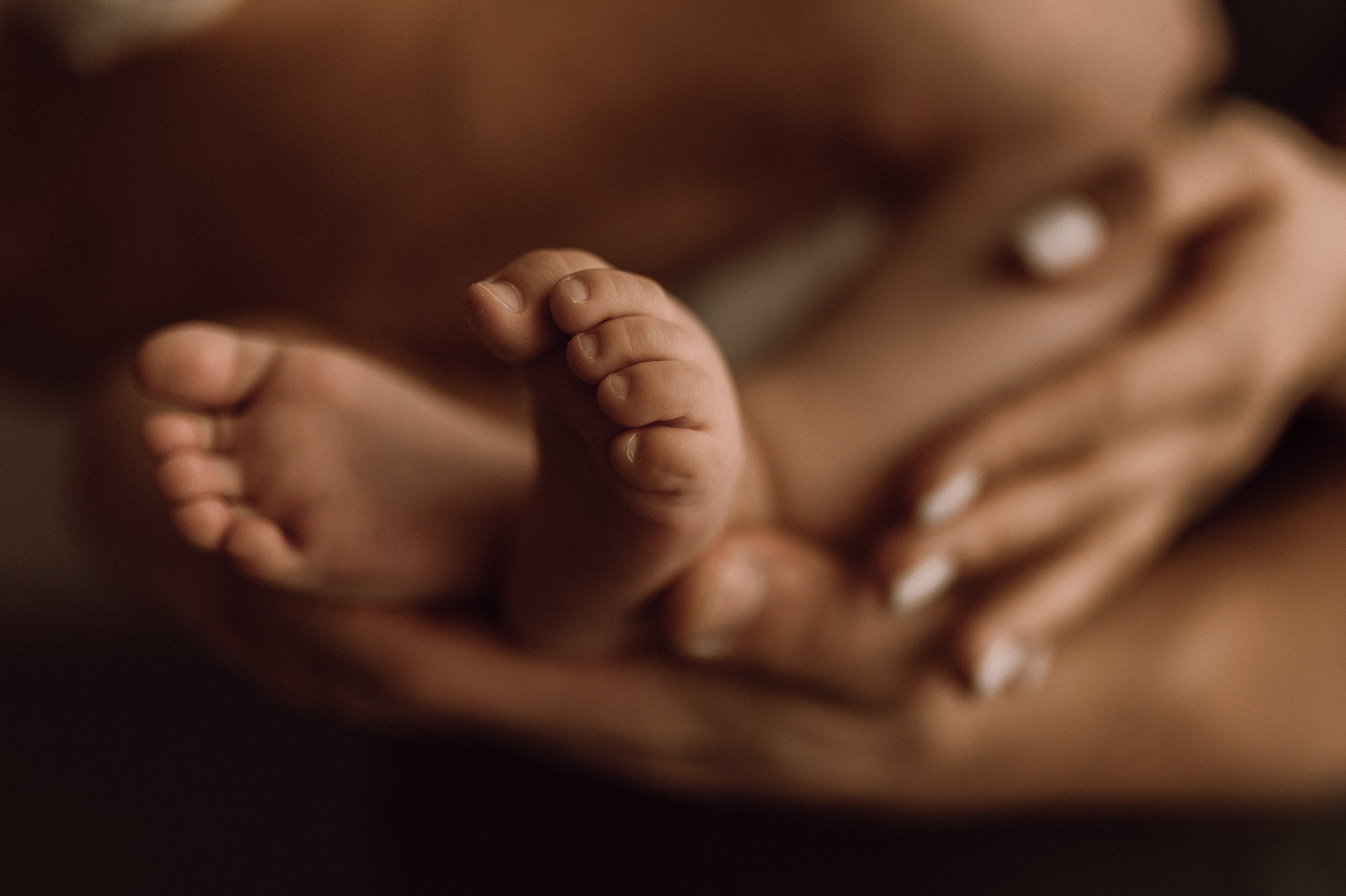 составить образы для домашней съемки