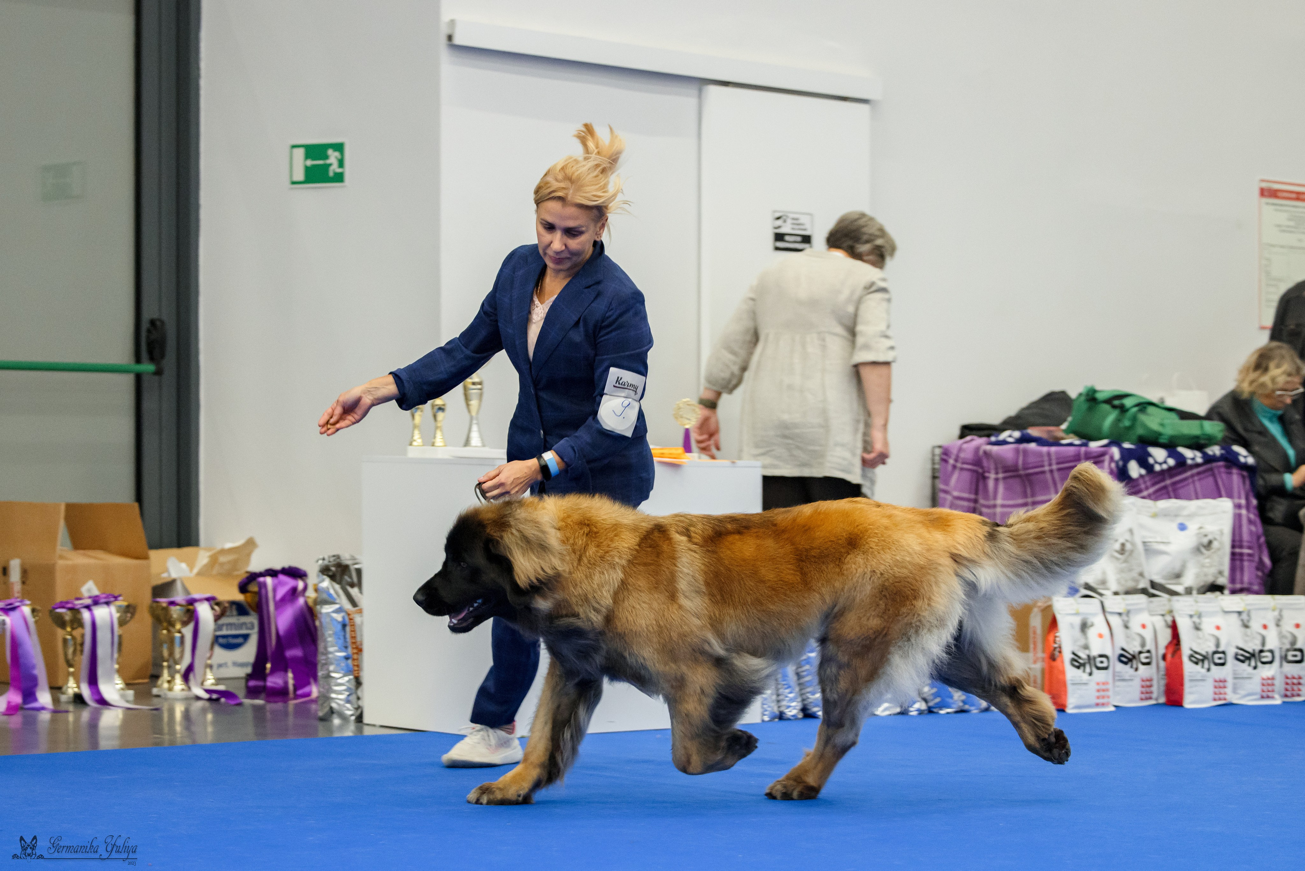 Нижний Новгород 21-22.10.2023. Фотограф-анималист Юлия Германика