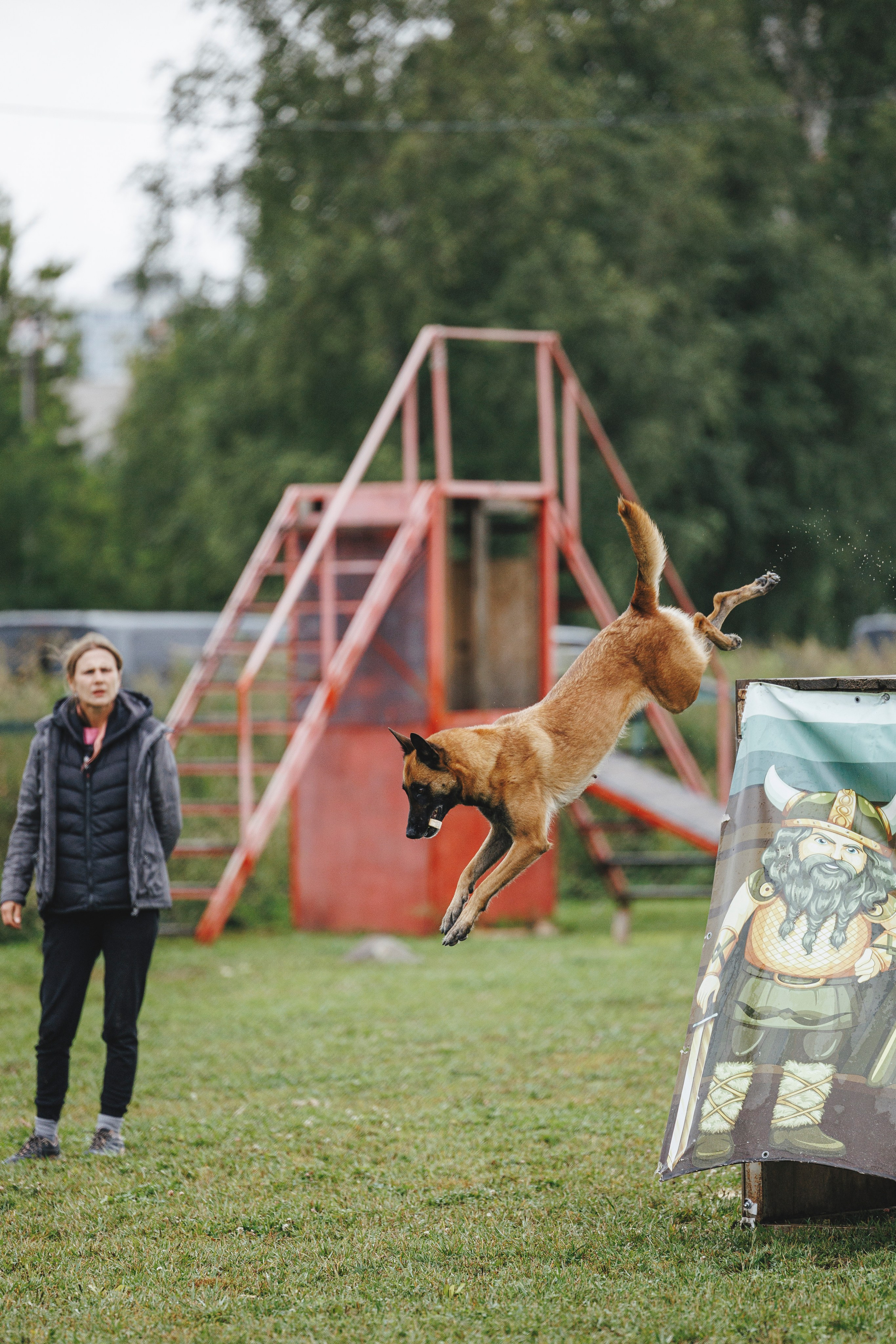 08.08.25-10.08.25 ЧР по мондьорингу г. Вологда. Фотограф-анималист Анна Маринич