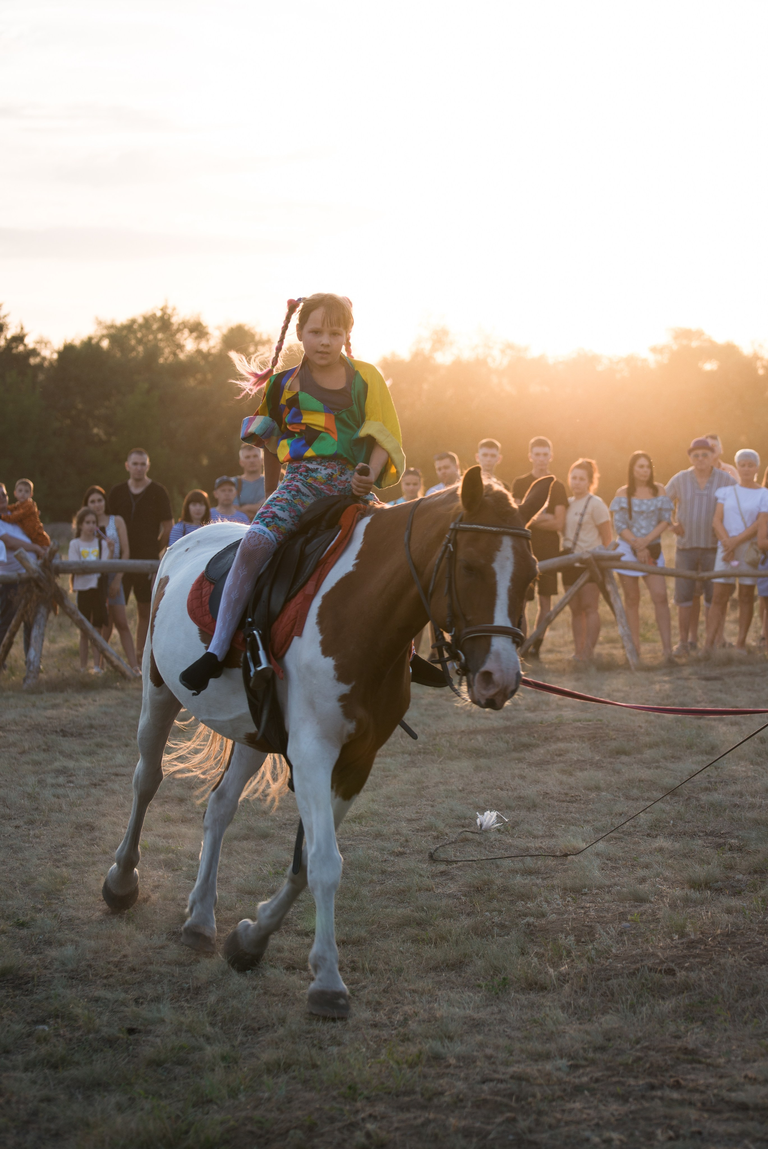 Карнавал Догвинтер. Конный фотограф в Саратове Юлия Иванова