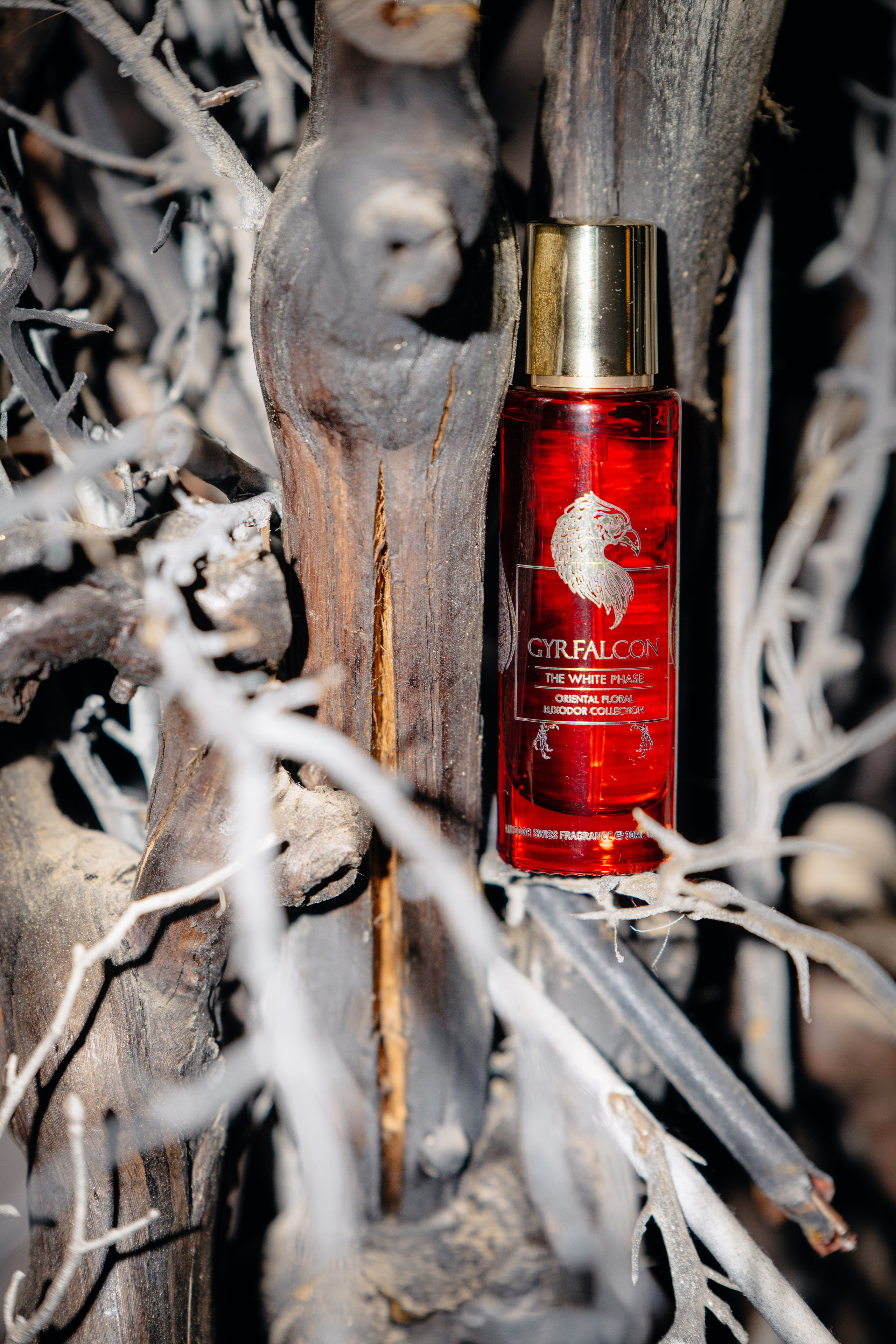 Luxodor — парфюм — контент для соцсетей. Фотограф в Москве — Новиков Владислав