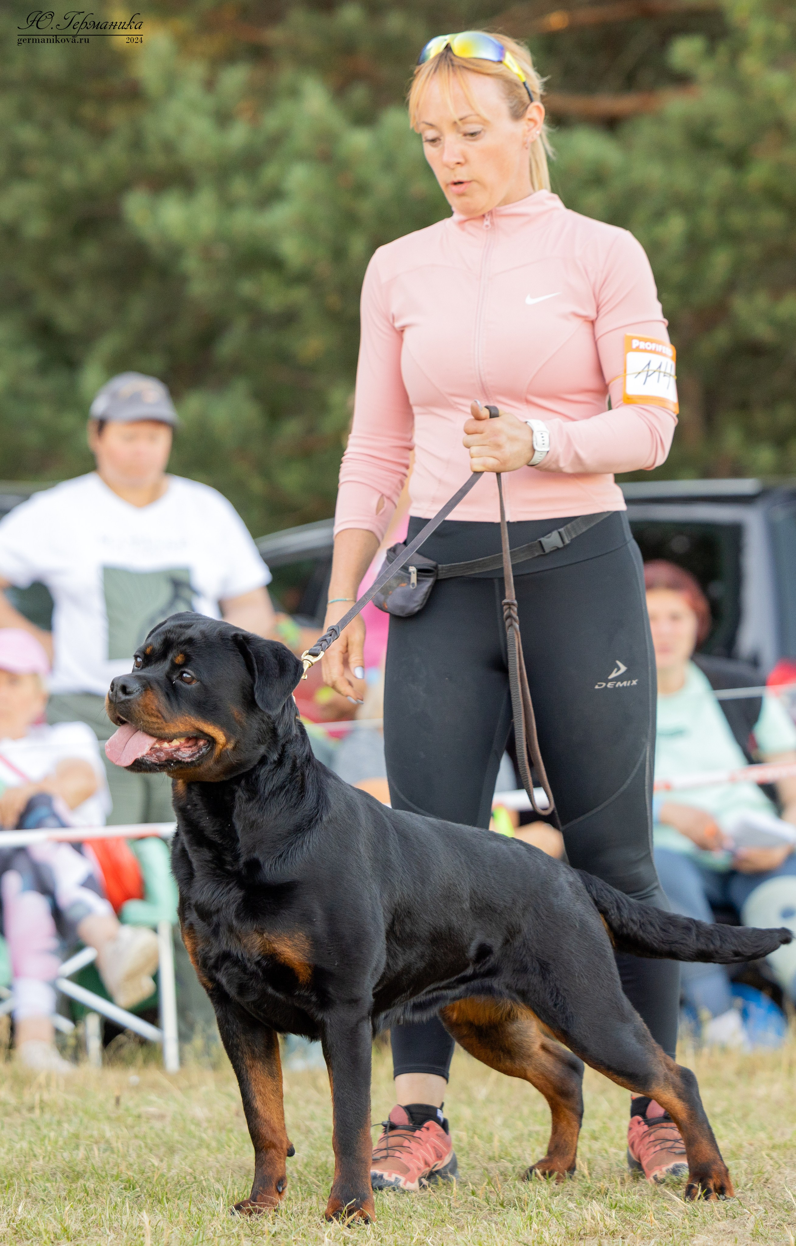 ПК и КЧК ротвейлеры Тверь 6-7.07.2024. Фотограф-анималист Юлия Германика