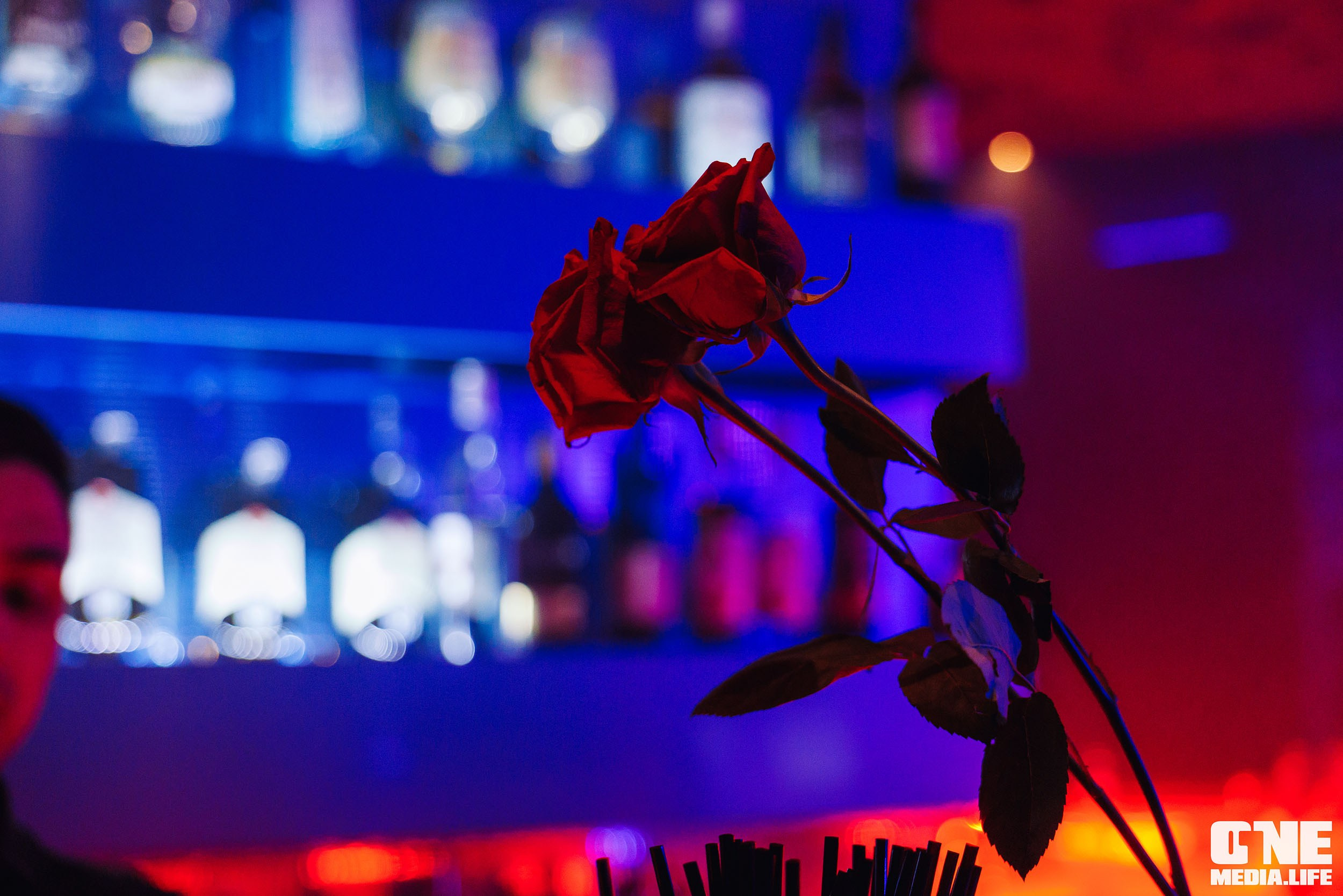 Фоторепортаж из караоке-клуба Эйфория. One Media Life: фоторепортажи, фотоотчеты с мероприятий и заведений