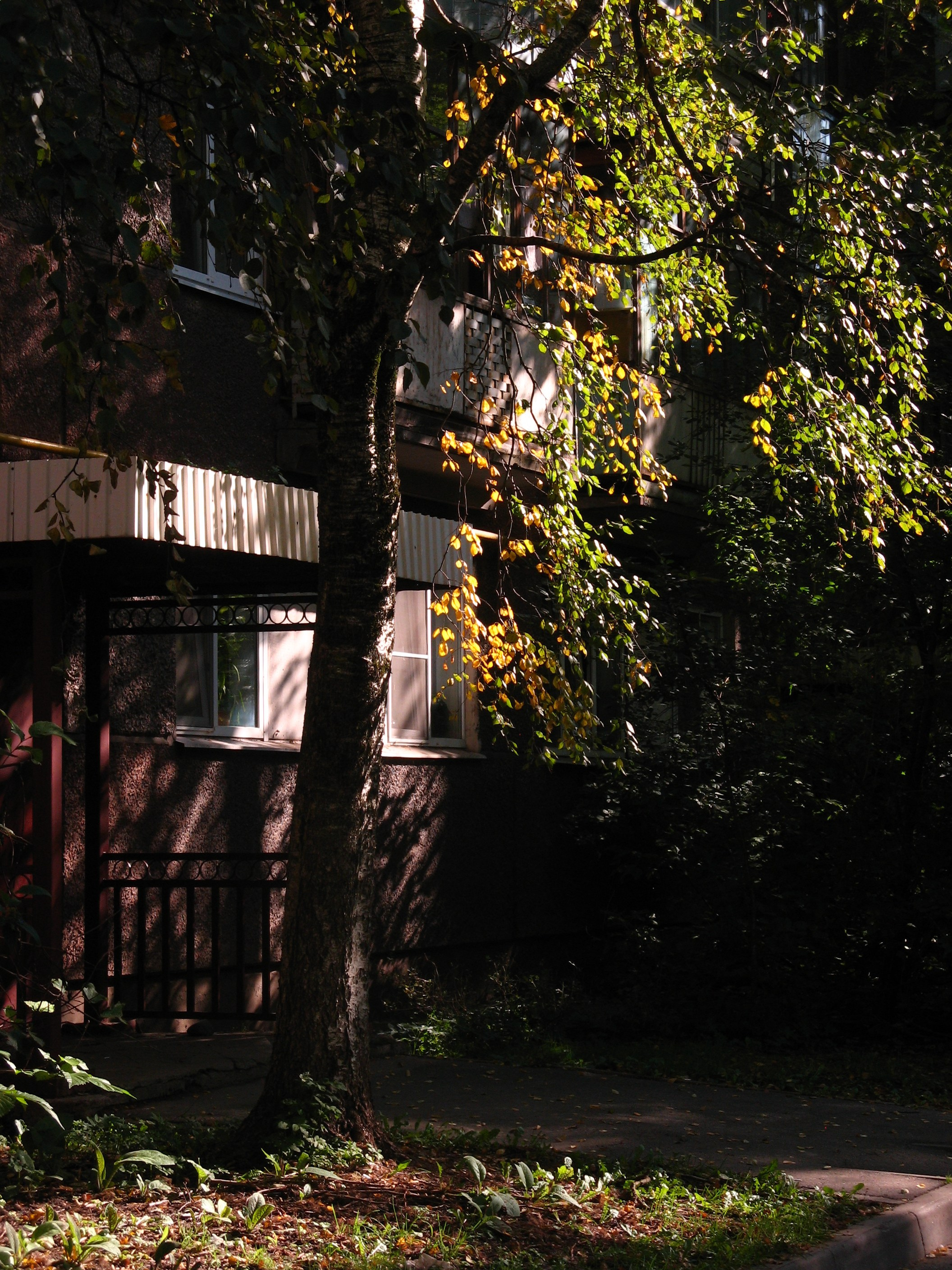 Сентябрь 2025. Den Mirov — Фотограф, Музыкант