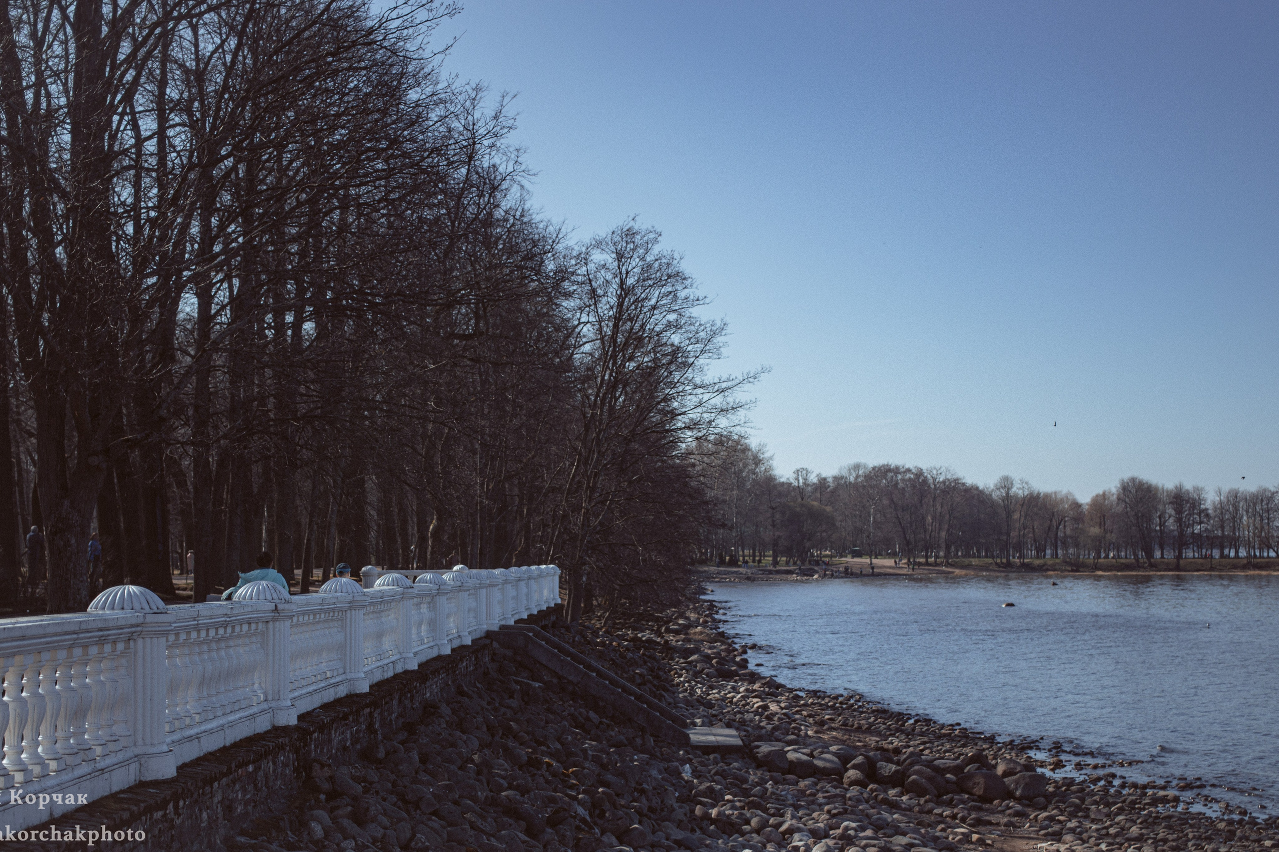 Петергоф нижний парк фото