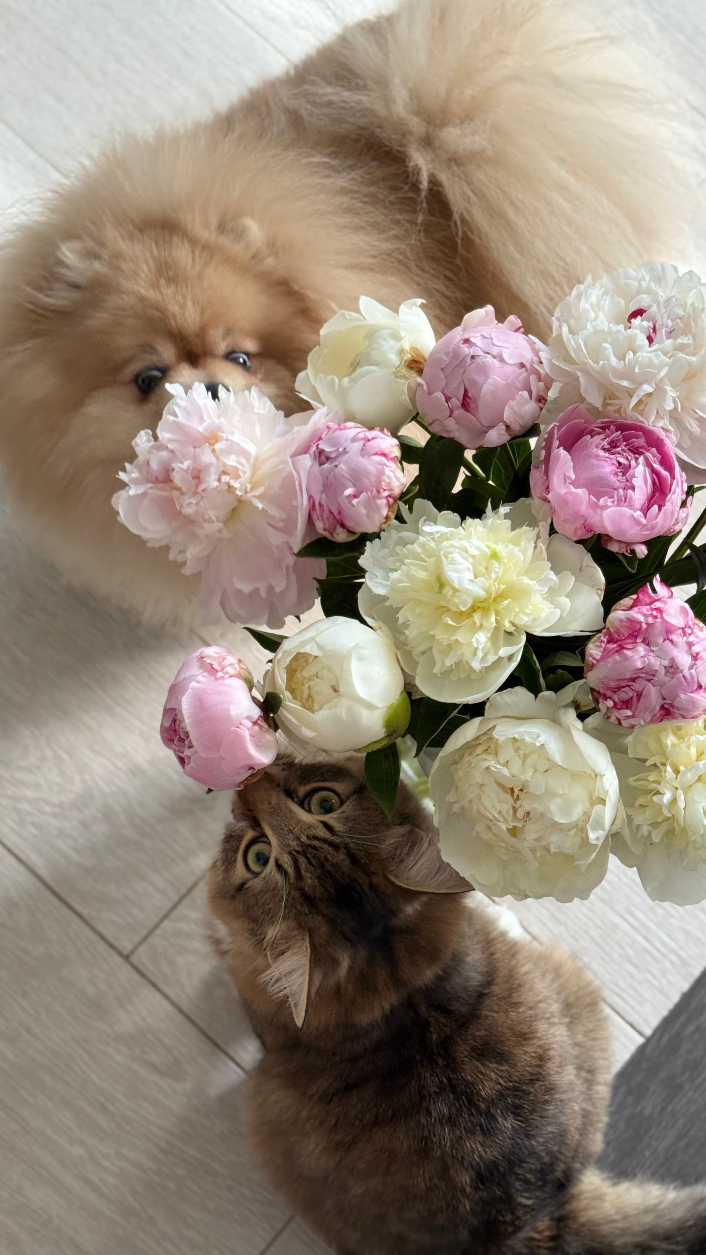 СЕЛФИ. Фотограф Санкт-Петербург